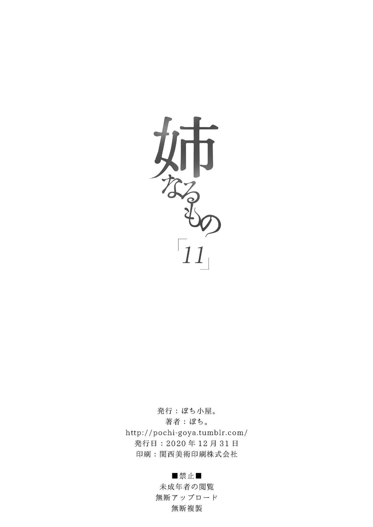 [日本漫画] 姉なるもの 11 单本,巨乳大奶,调教,黑丝丝袜,正太控,妖精#[28P]-26