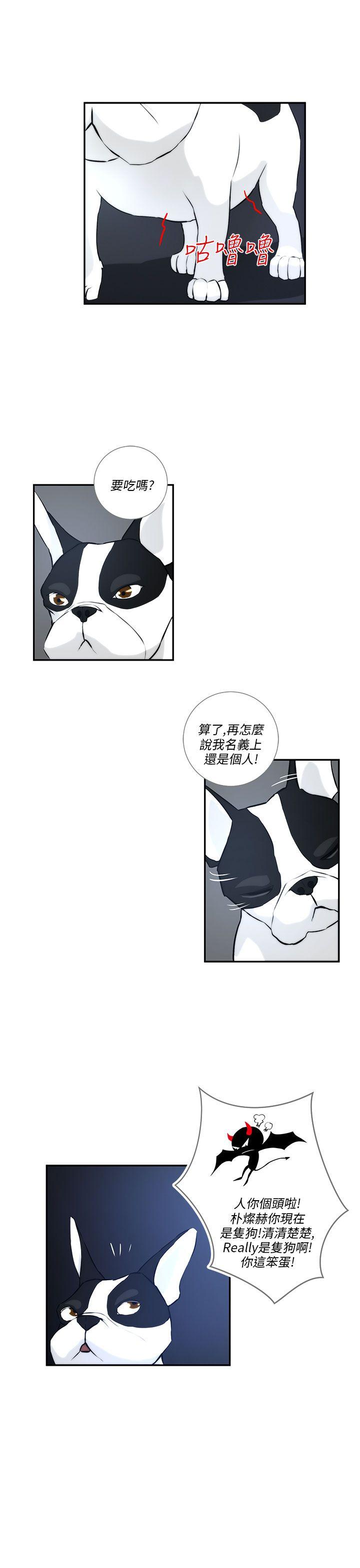 [韩国漫画] 变成狗的男人 剧情,巨乳大奶#[27P]-11