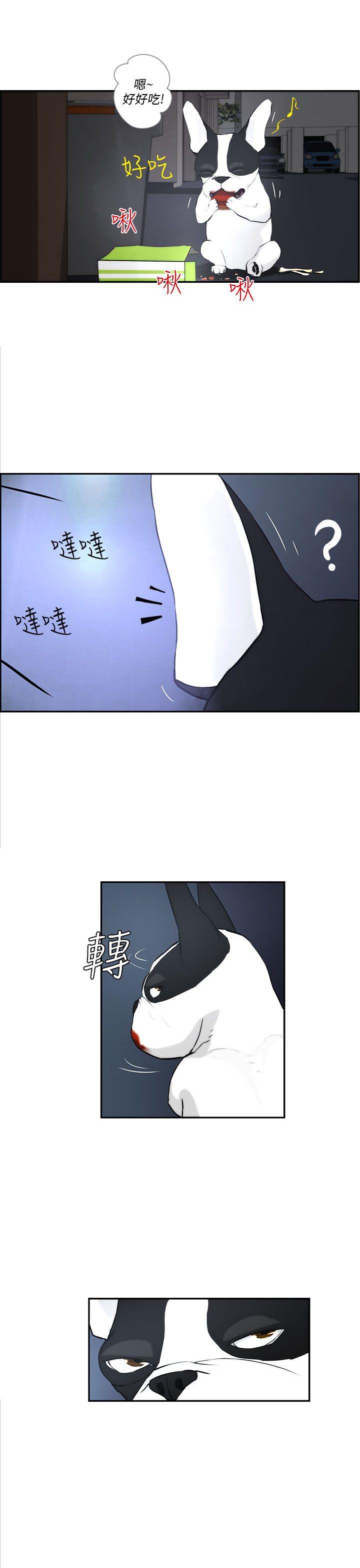 [韩国漫画] 变成狗的男人 剧情,巨乳大奶#[27P]-13