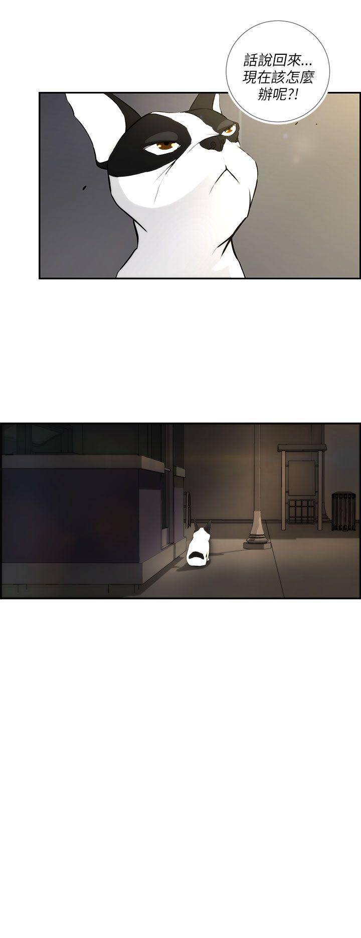 [韩国漫画] 变成狗的男人 剧情,巨乳大奶#[27P]-4