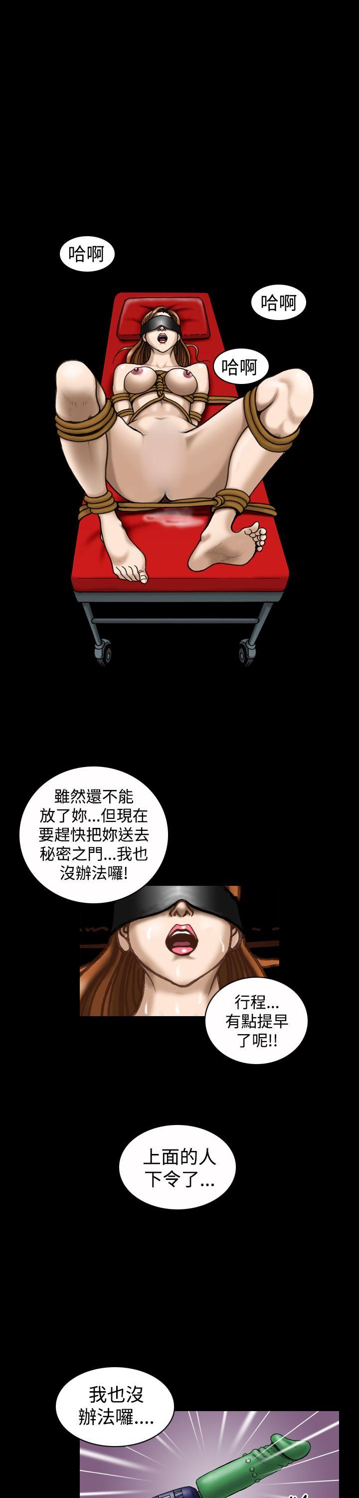 [韩国漫画] 上流社会 调教,熟女人妻,巨乳大奶#[22P]-17