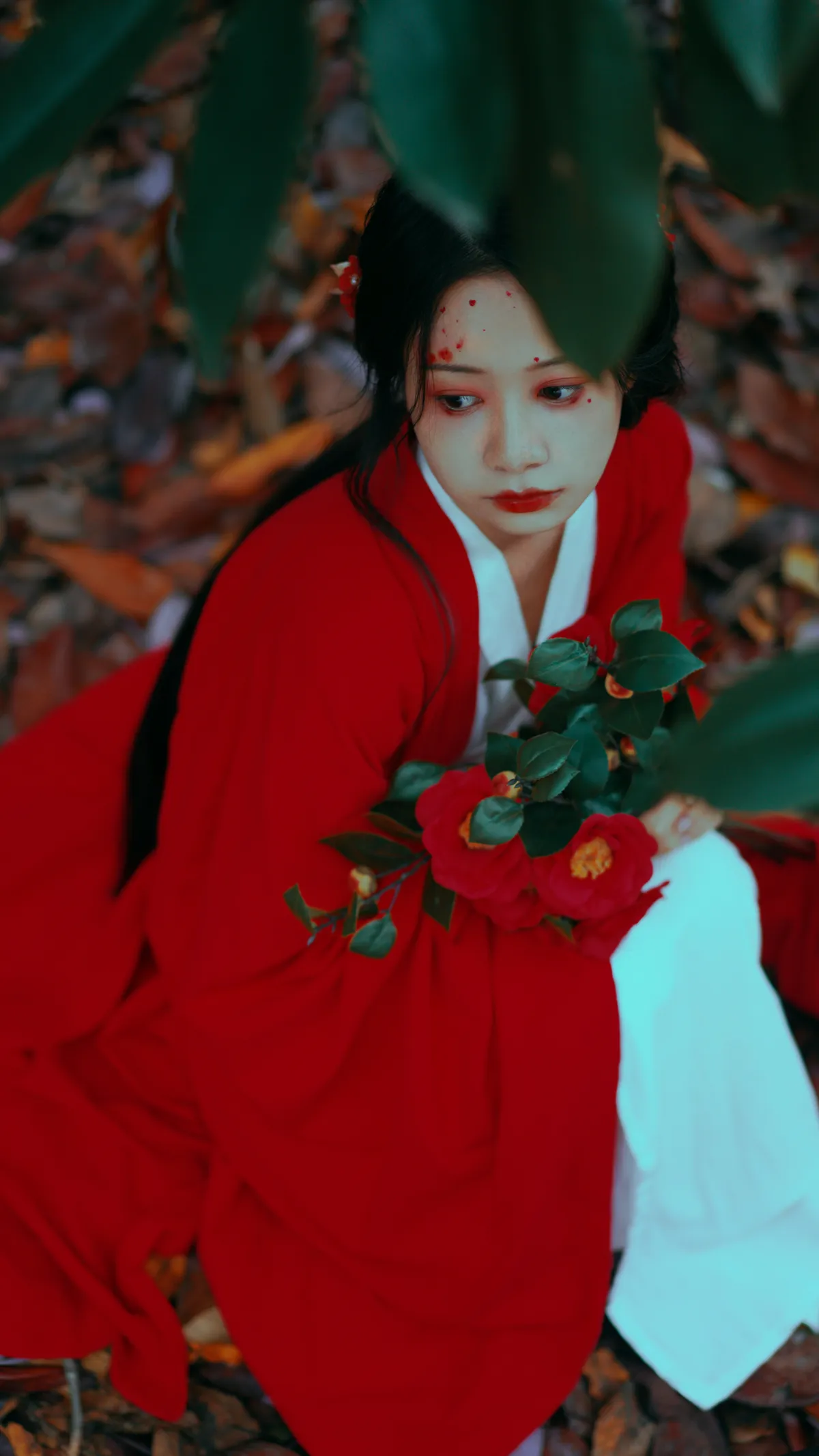 [艺图语] 2022.12.15 Vol.2685 – 山茶花 旺旺小小舒#[22P]-1