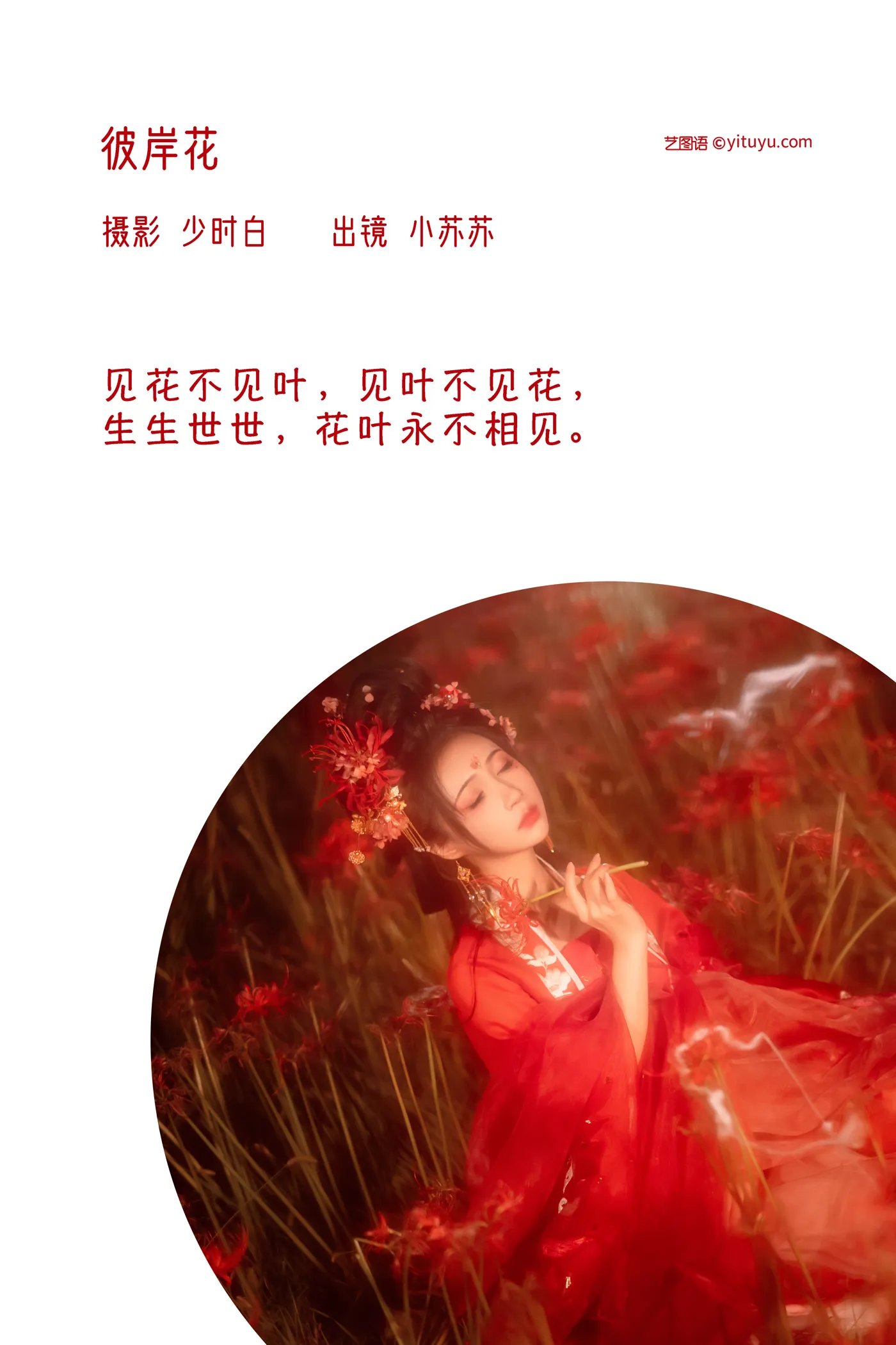 [艺图语] 2022.12.07 Vol.2617 – 彼岸花 -绮罗生的小苏苏-#[32P]-2