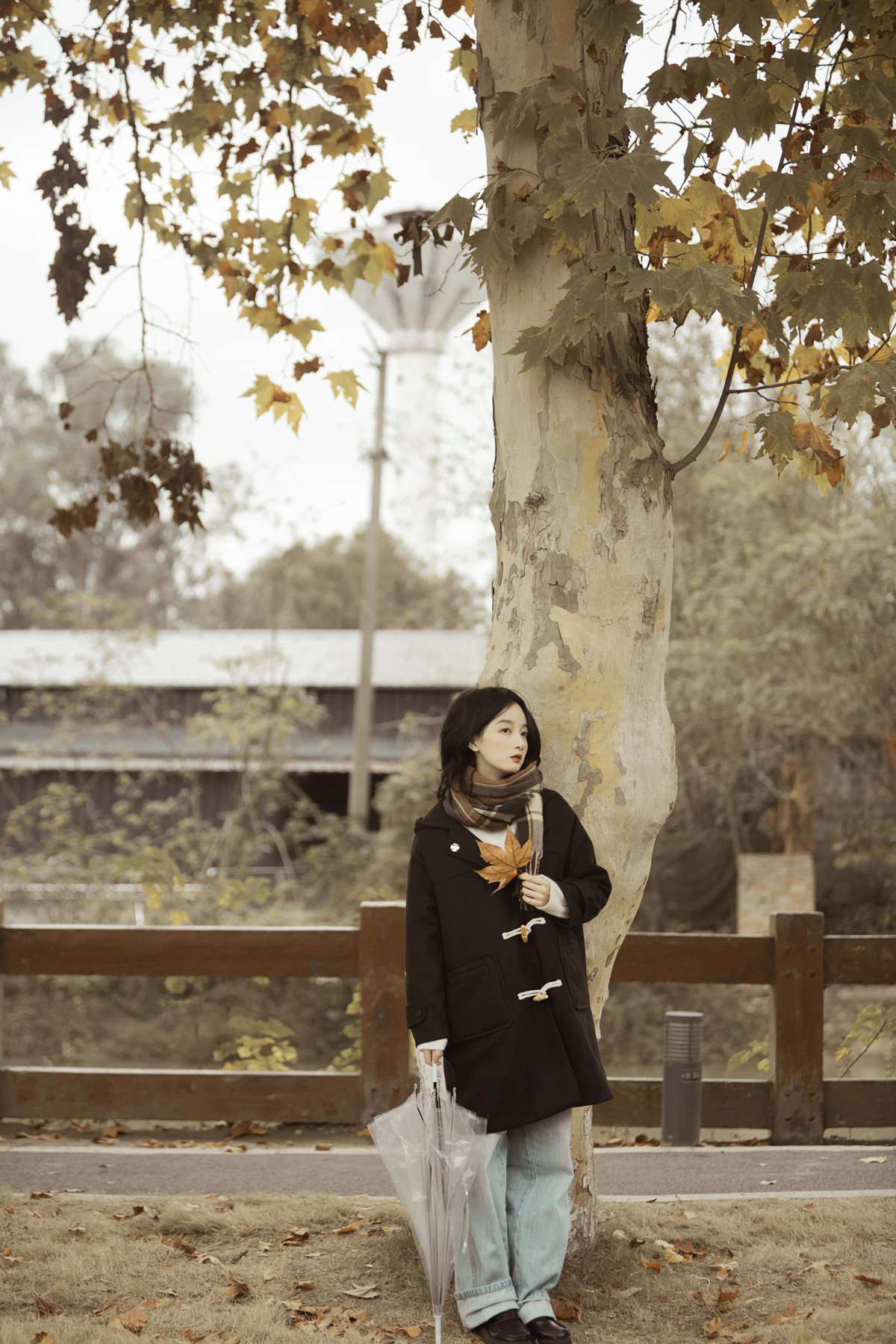 [艺图语] 2023.01.16 Vol.2925 漫步梧桐林 肖绿叶#[26P]-7