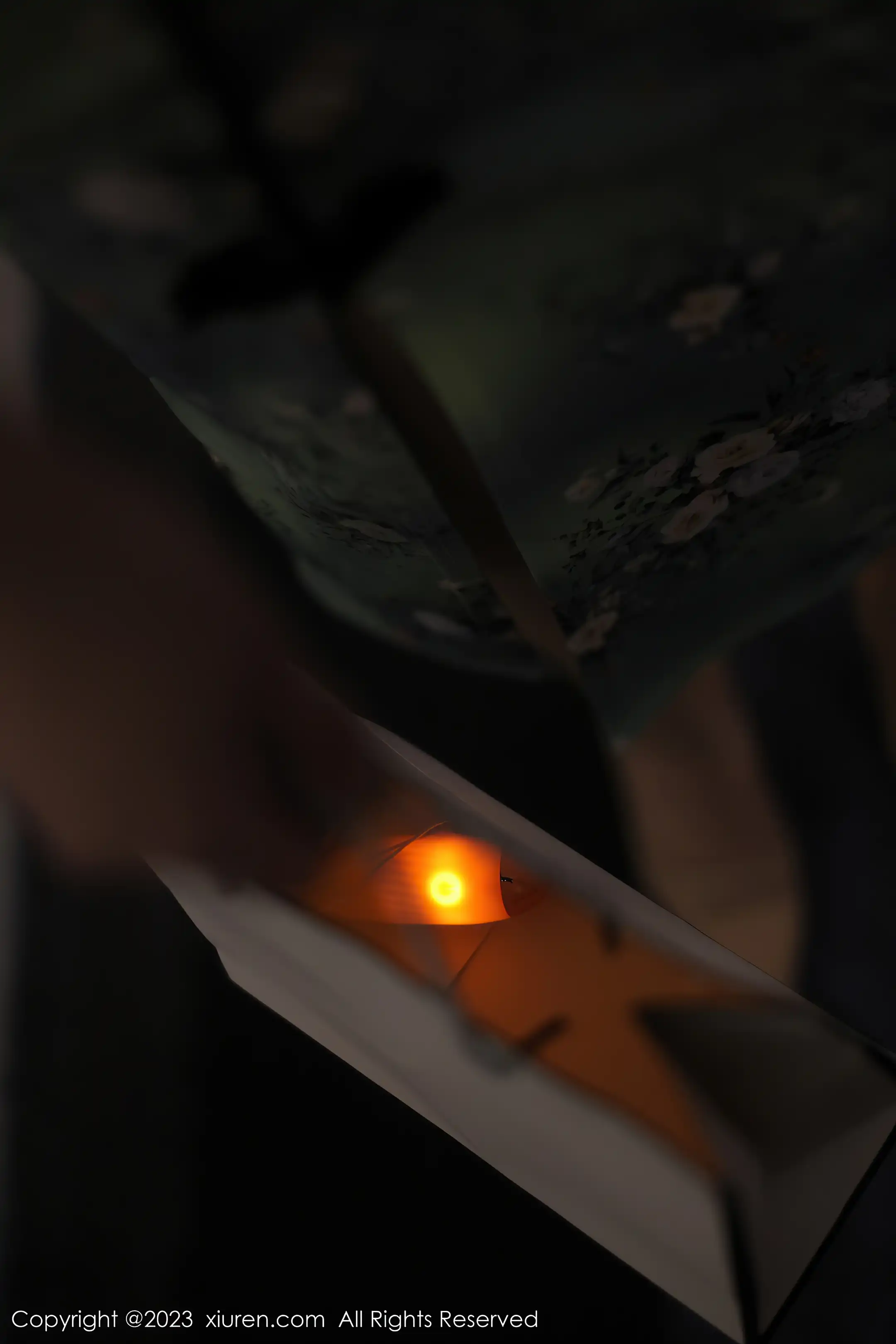 [秀人网] 2023.03.24 NO.6464 Arude薇薇#[70P]-4