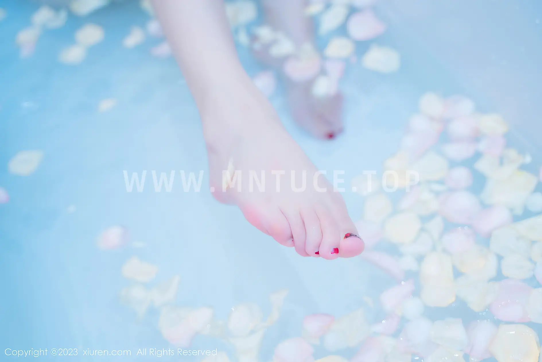 [秀人网] 2023.06.28 NO.6986 加朵babe#[83P]-6