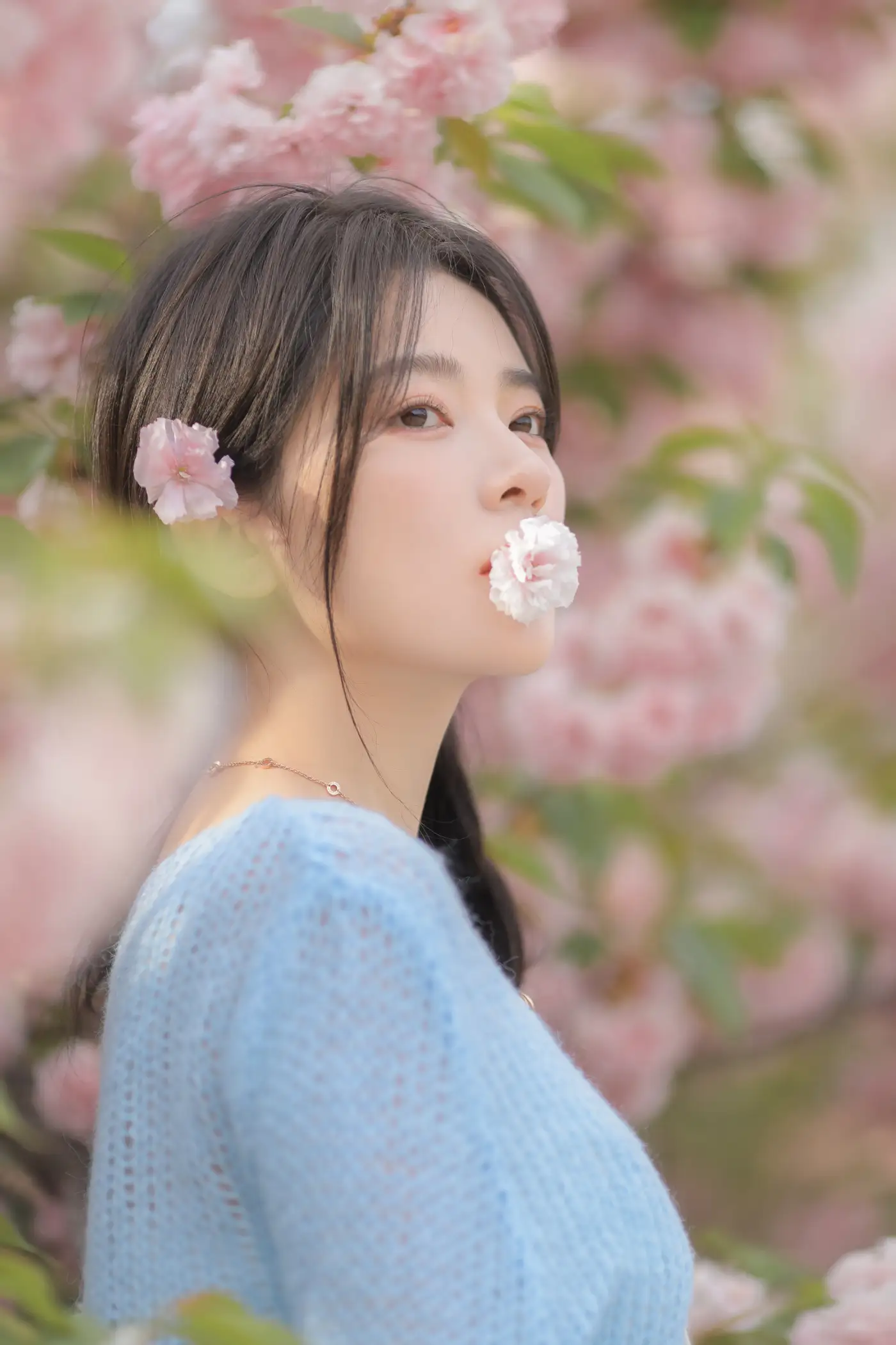 [艺图语] 2022.06.22 Vol.1252 – 粉蓝晚樱 杨伊墨#[29P]-1