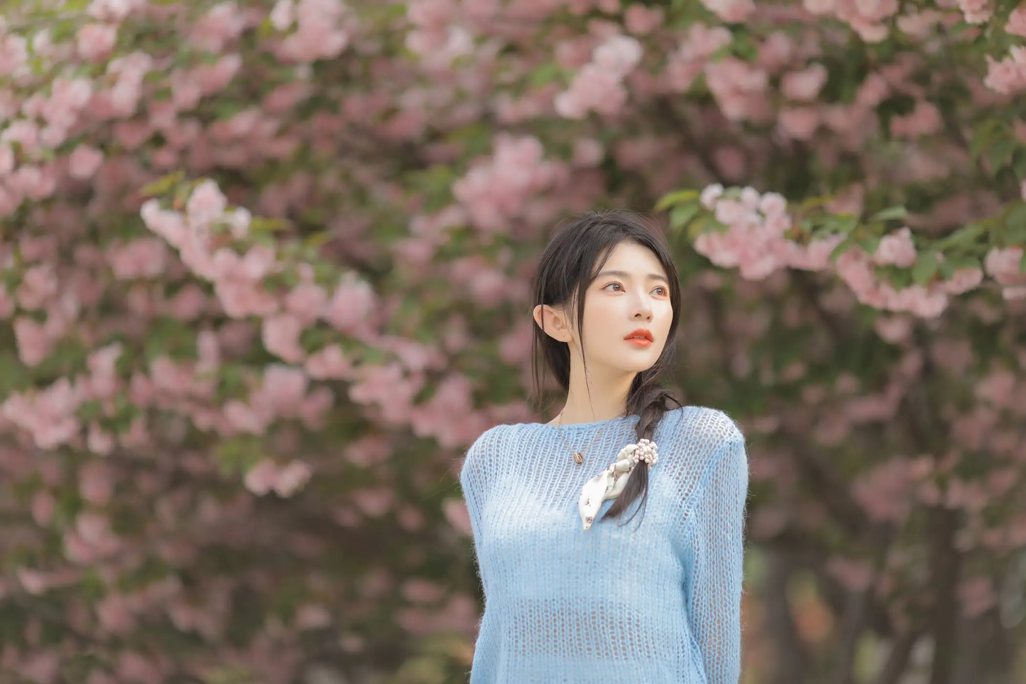 [艺图语] 2022.06.22 Vol.1252 – 粉蓝晚樱 杨伊墨#[29P]-2