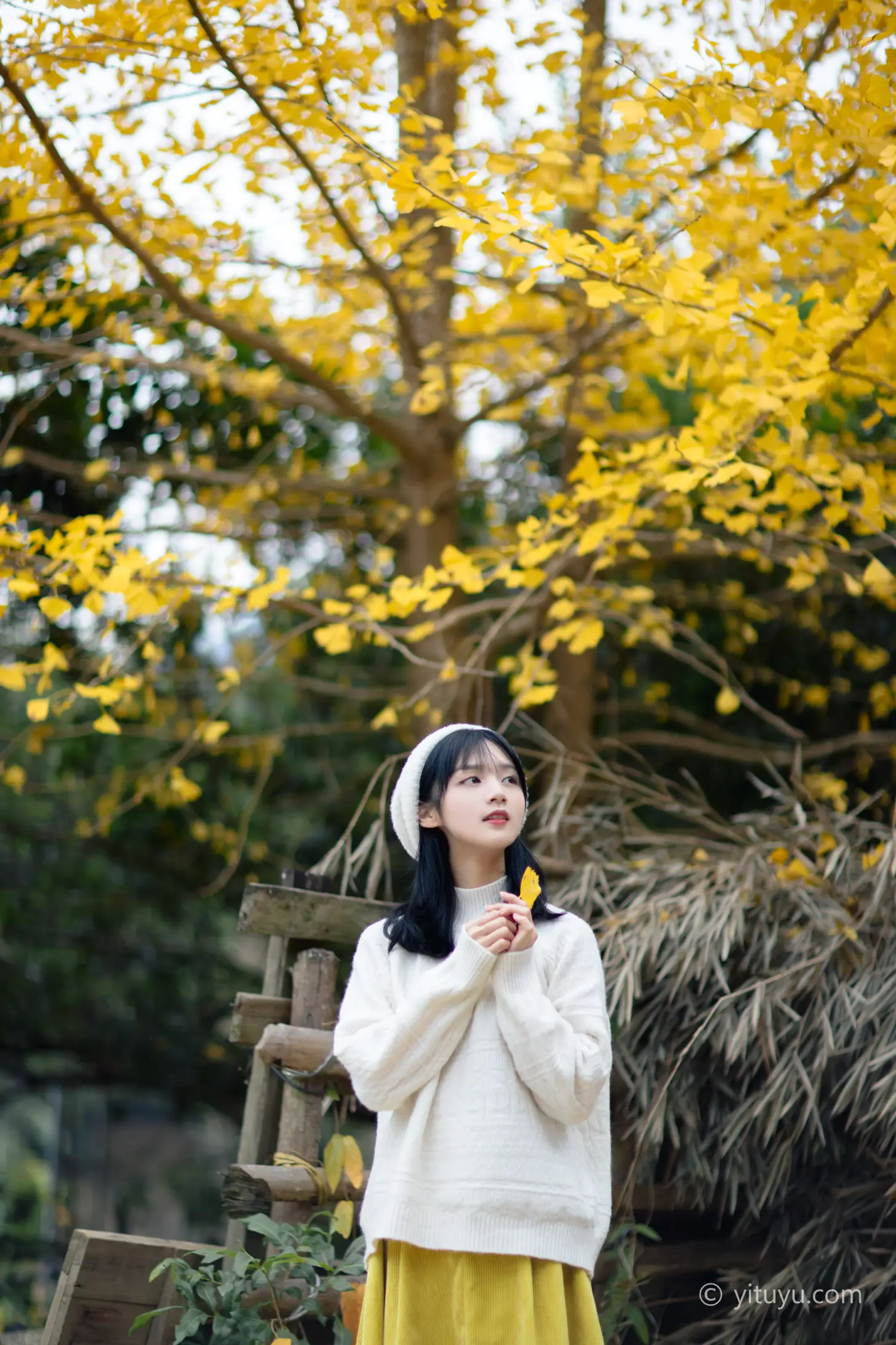 [艺图语] 2021.08.14 Vol.131 – 银杏之恋 雨文#[39P]-4