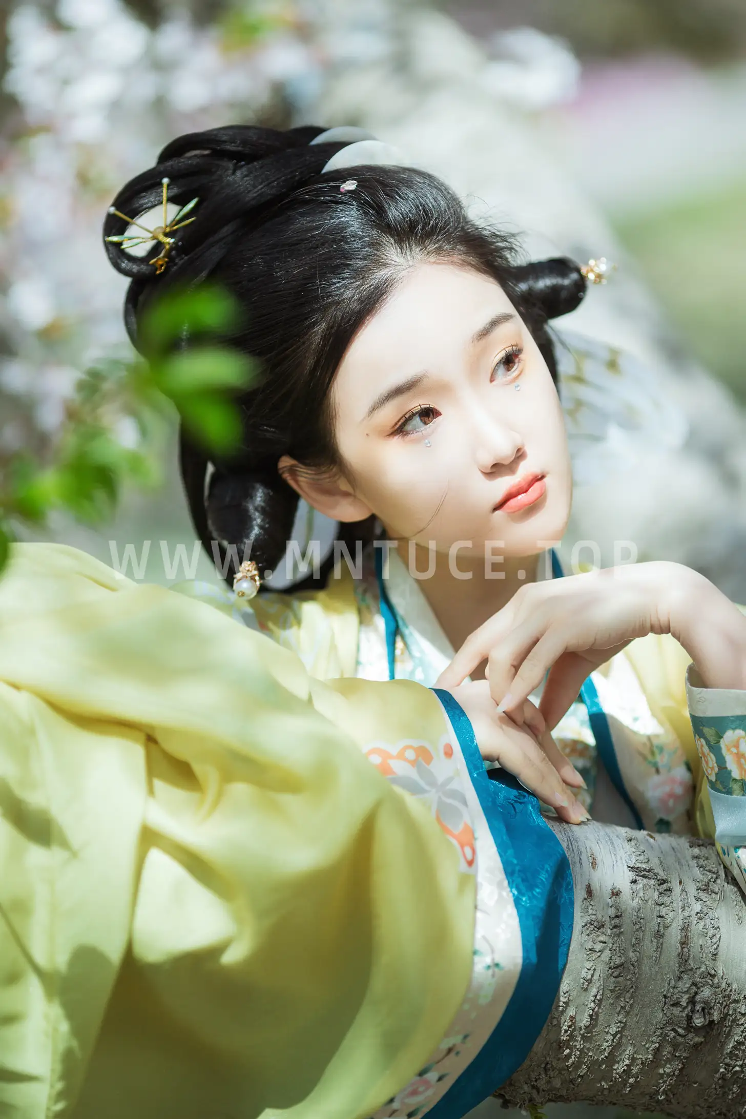 [艺图语] 2022.07.15 Vol.1481 – 蝶恋花 相望回首喵喵喵#[23P]-9