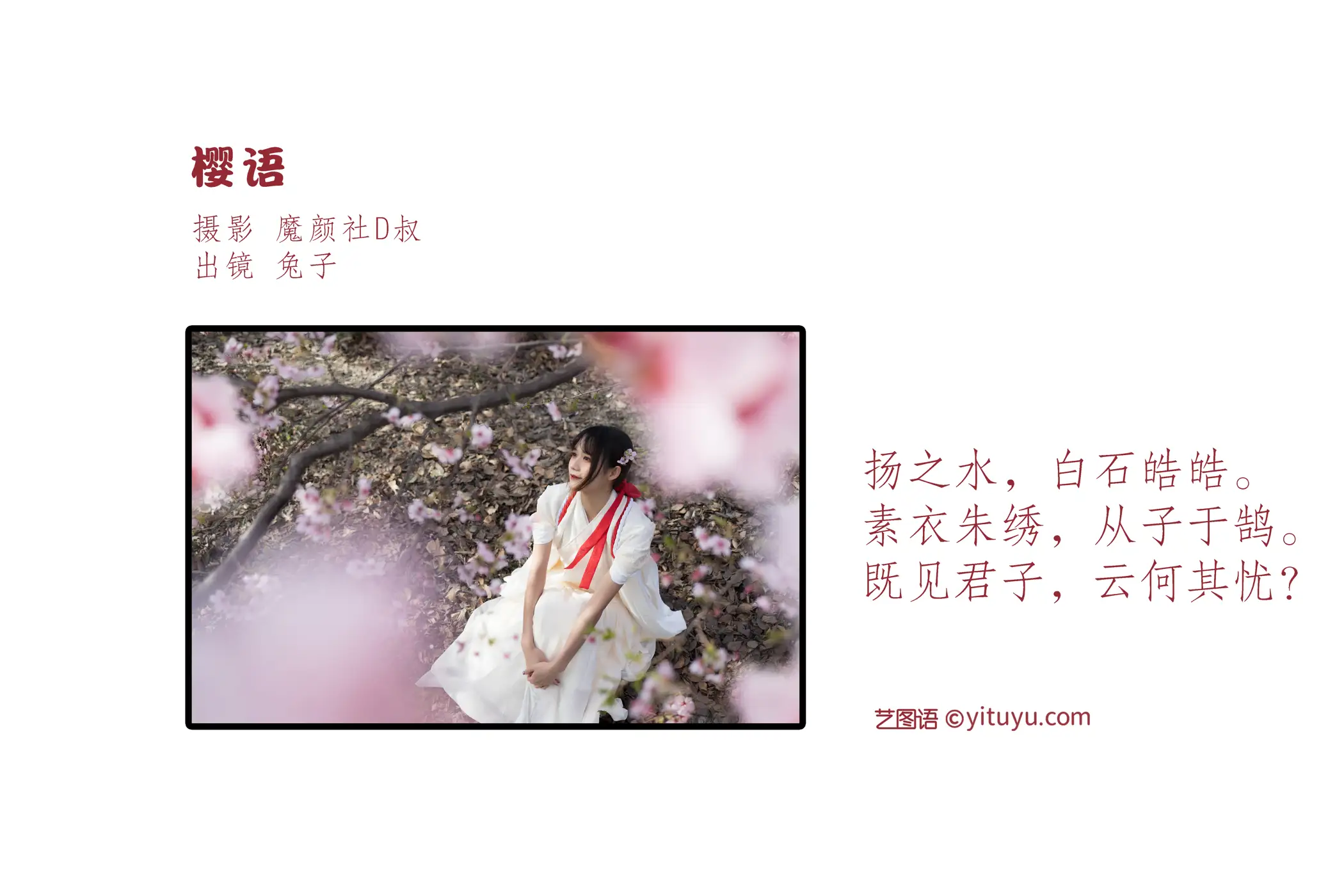 [艺图语] 2022.06.30 Vol.1337 – 樱语 兔子Zzz不吃胡萝卜#[28P]-2