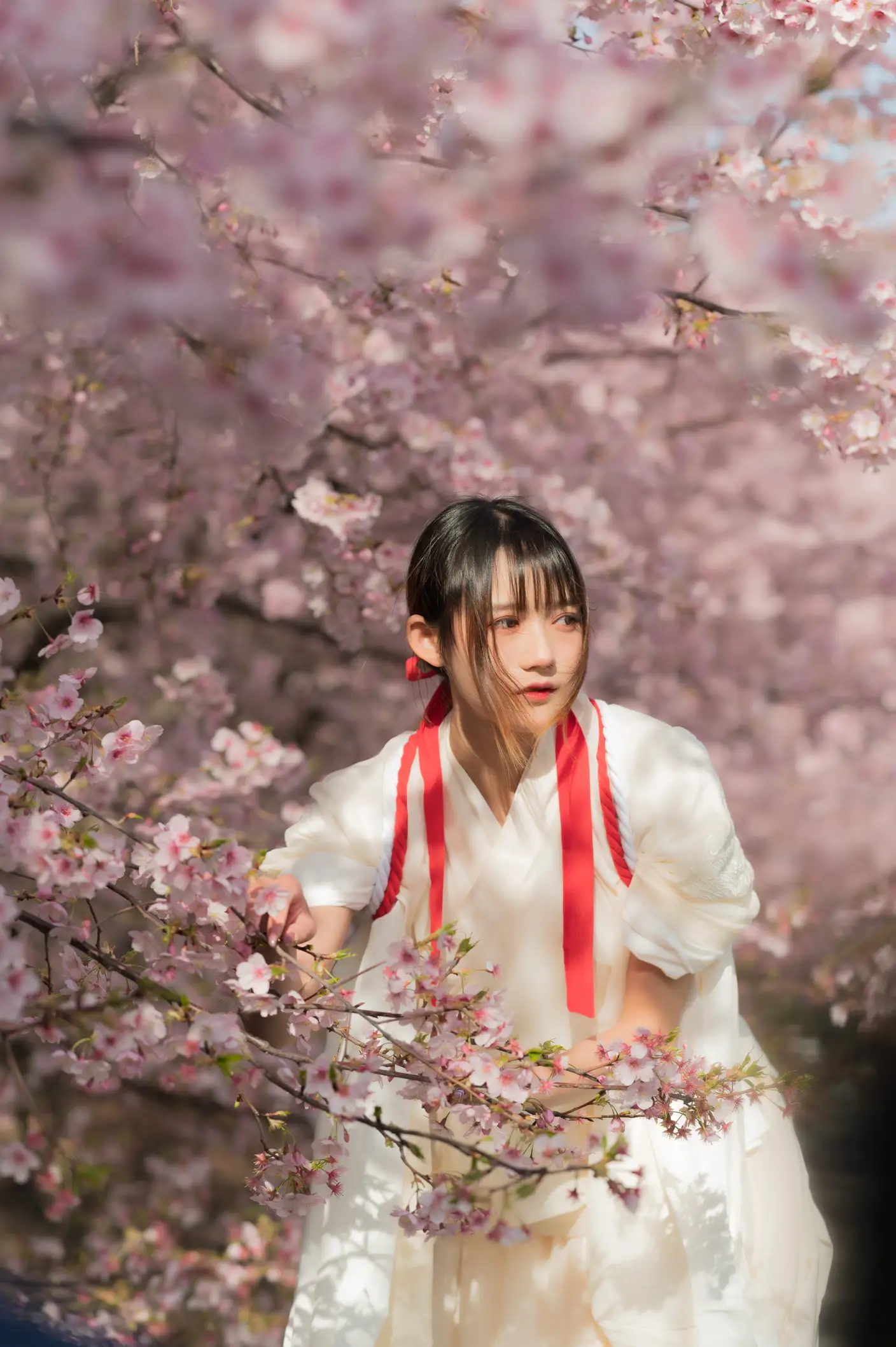 [艺图语] 2022.06.30 Vol.1337 – 樱语 兔子Zzz不吃胡萝卜#[28P]-5