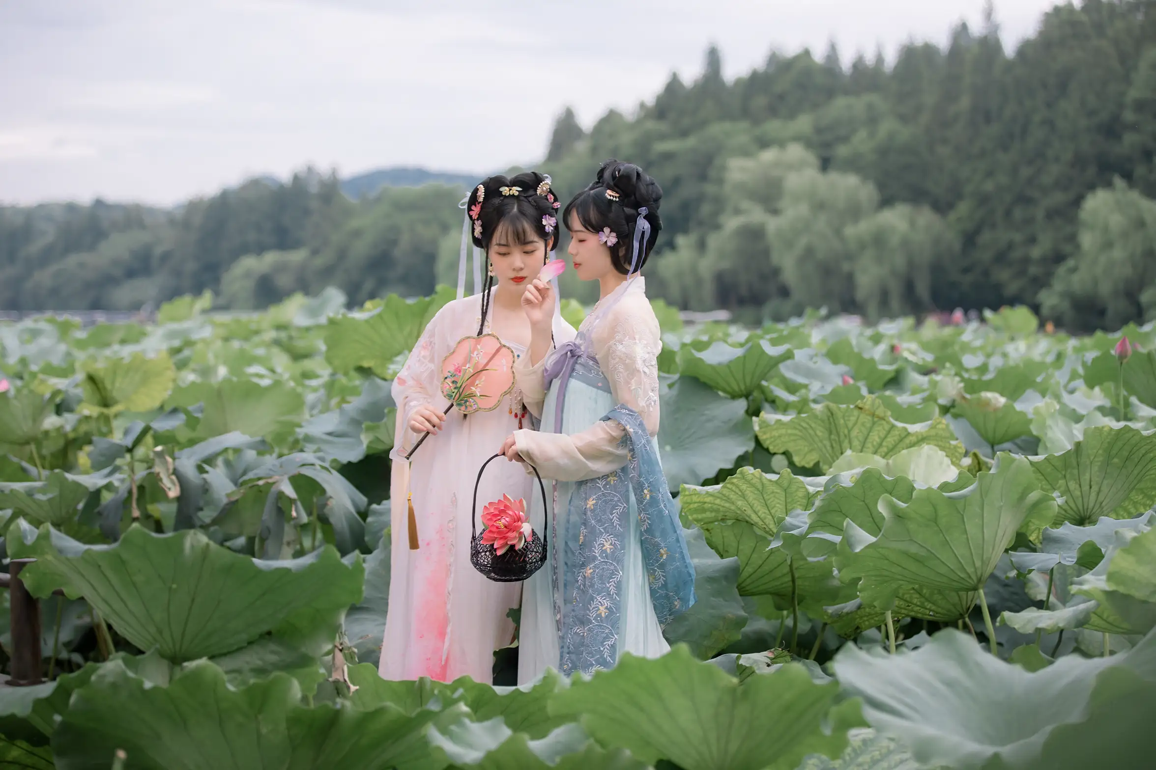 [艺图语] 2021.12.24 Vol.528 – 赏荷 僵僵#[24P]-3