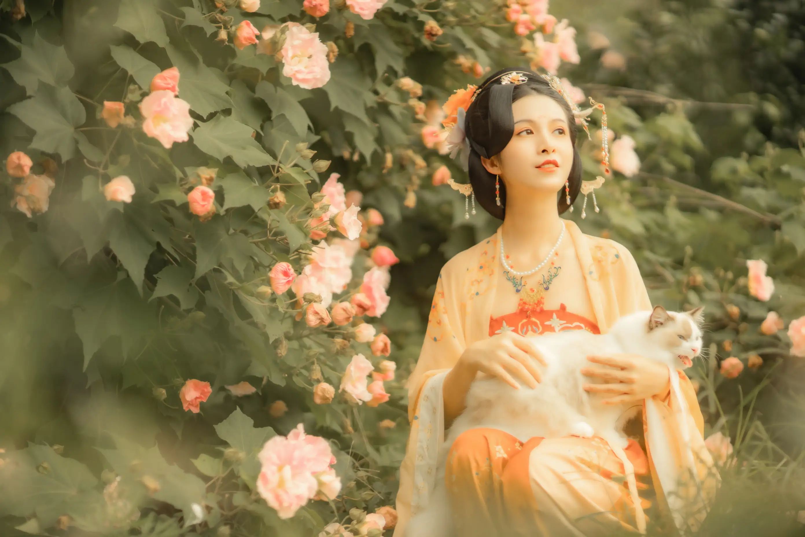 [艺图语] 2021.11.18 Vol.455 – 芙蓉词 修水凝花#[38P]-10
