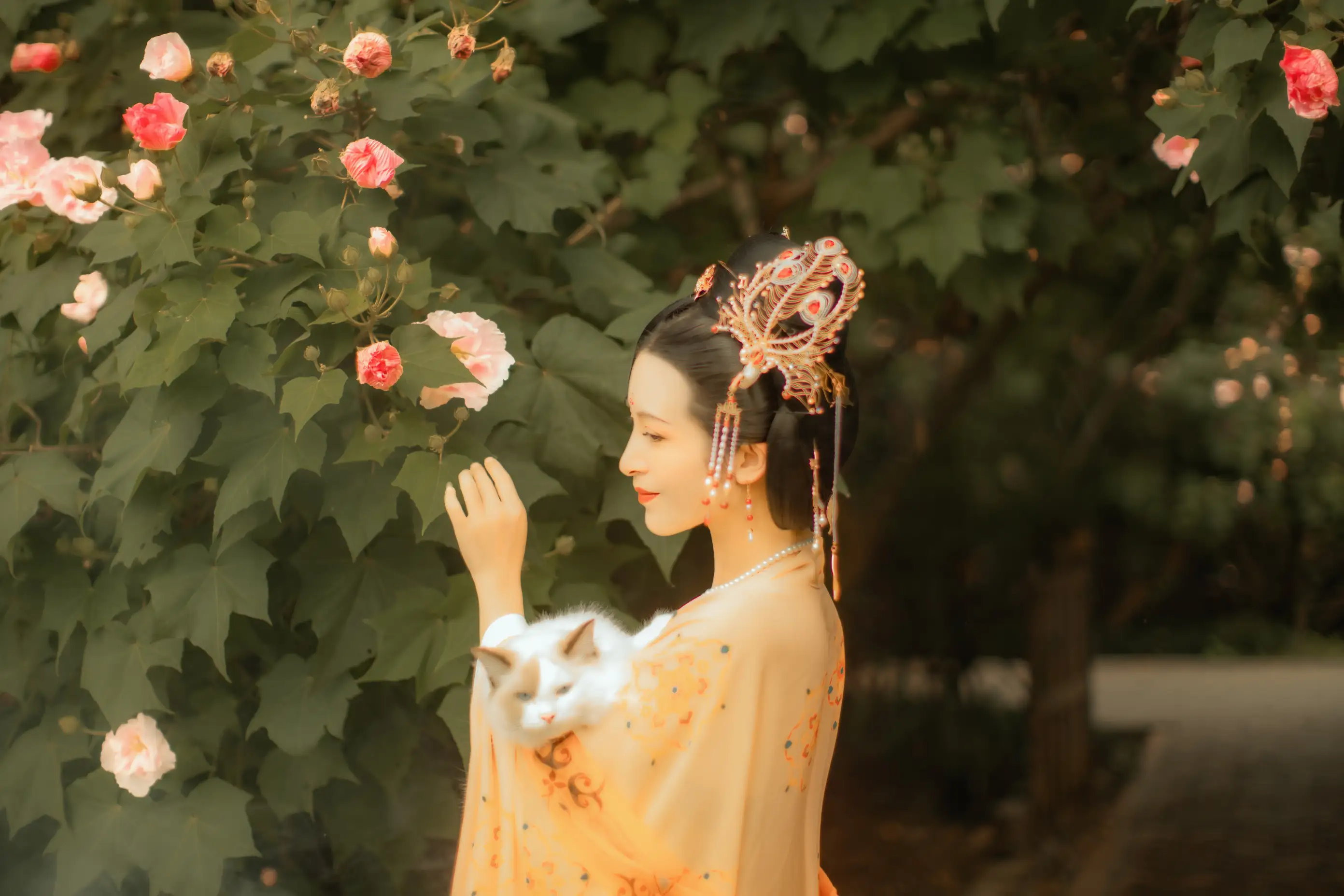 [艺图语] 2021.11.18 Vol.455 – 芙蓉词 修水凝花#[38P]-4