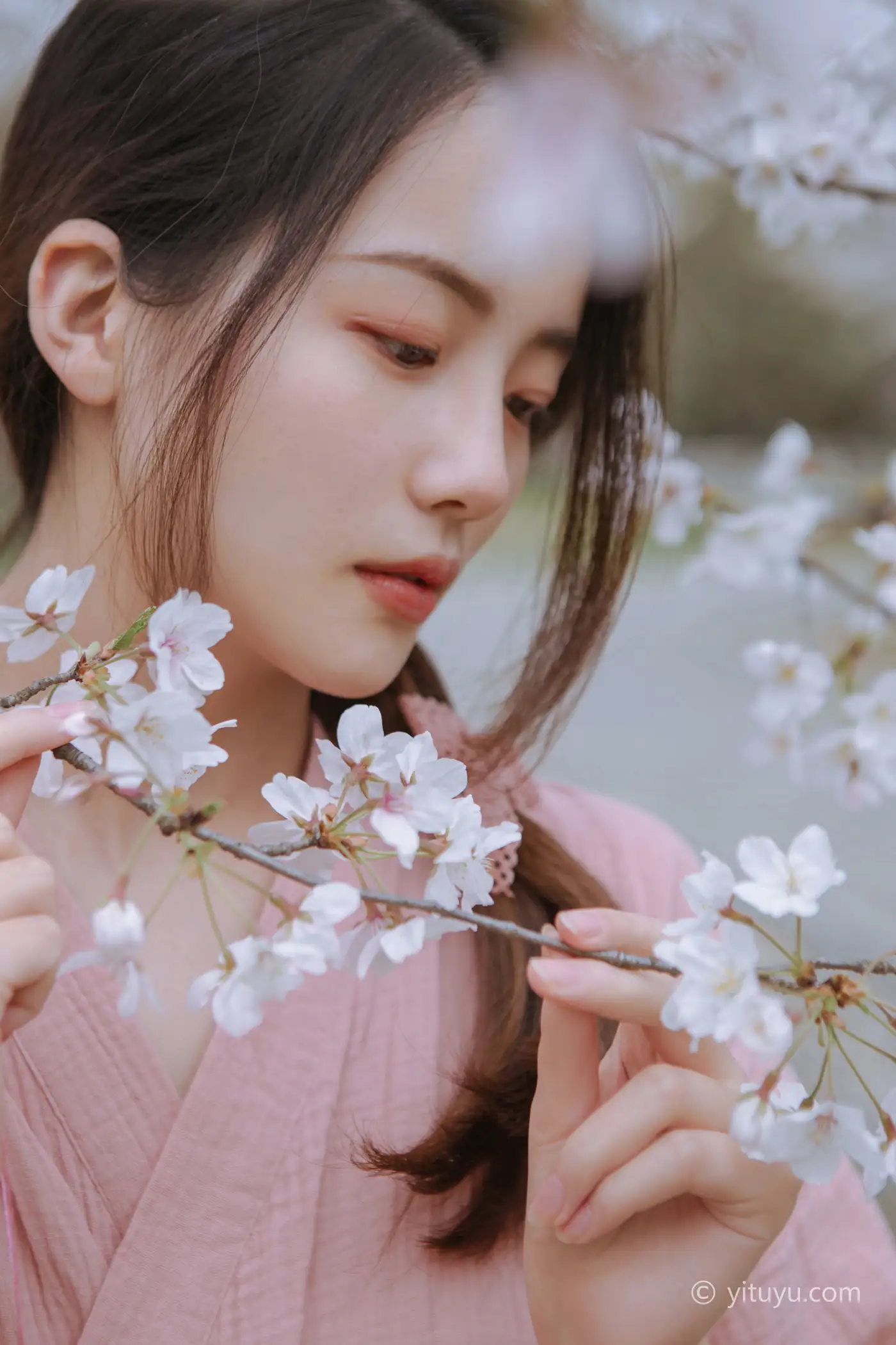 [艺图语] 2021.05.19 Vol.057 – 起风渐暖，樱花将灿 一只小四月#[24P]-2