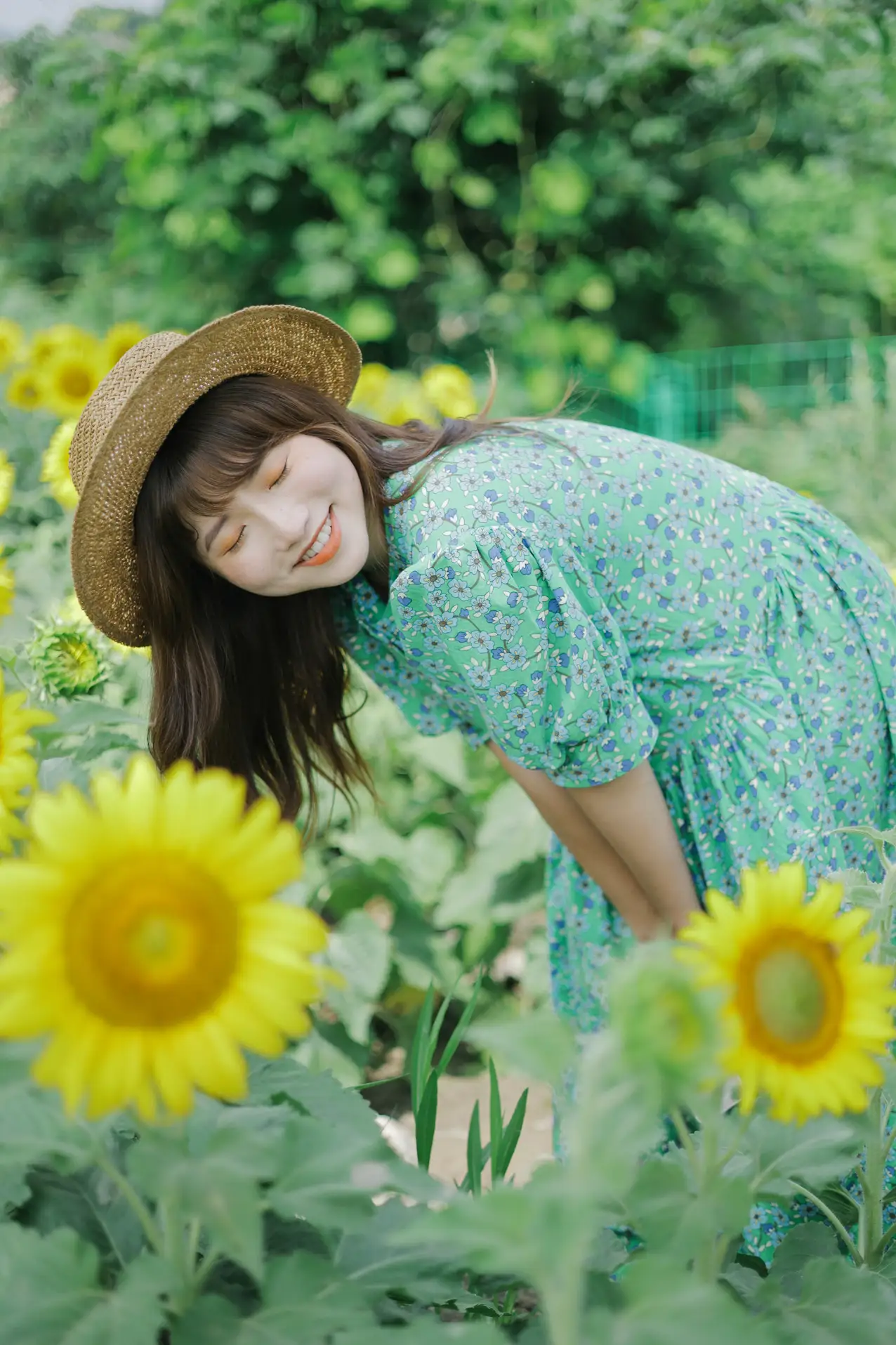 [艺图语] 2022.07.12 Vol.1458 – 向日葵的夏日 蓝胖子-#[33P]-6