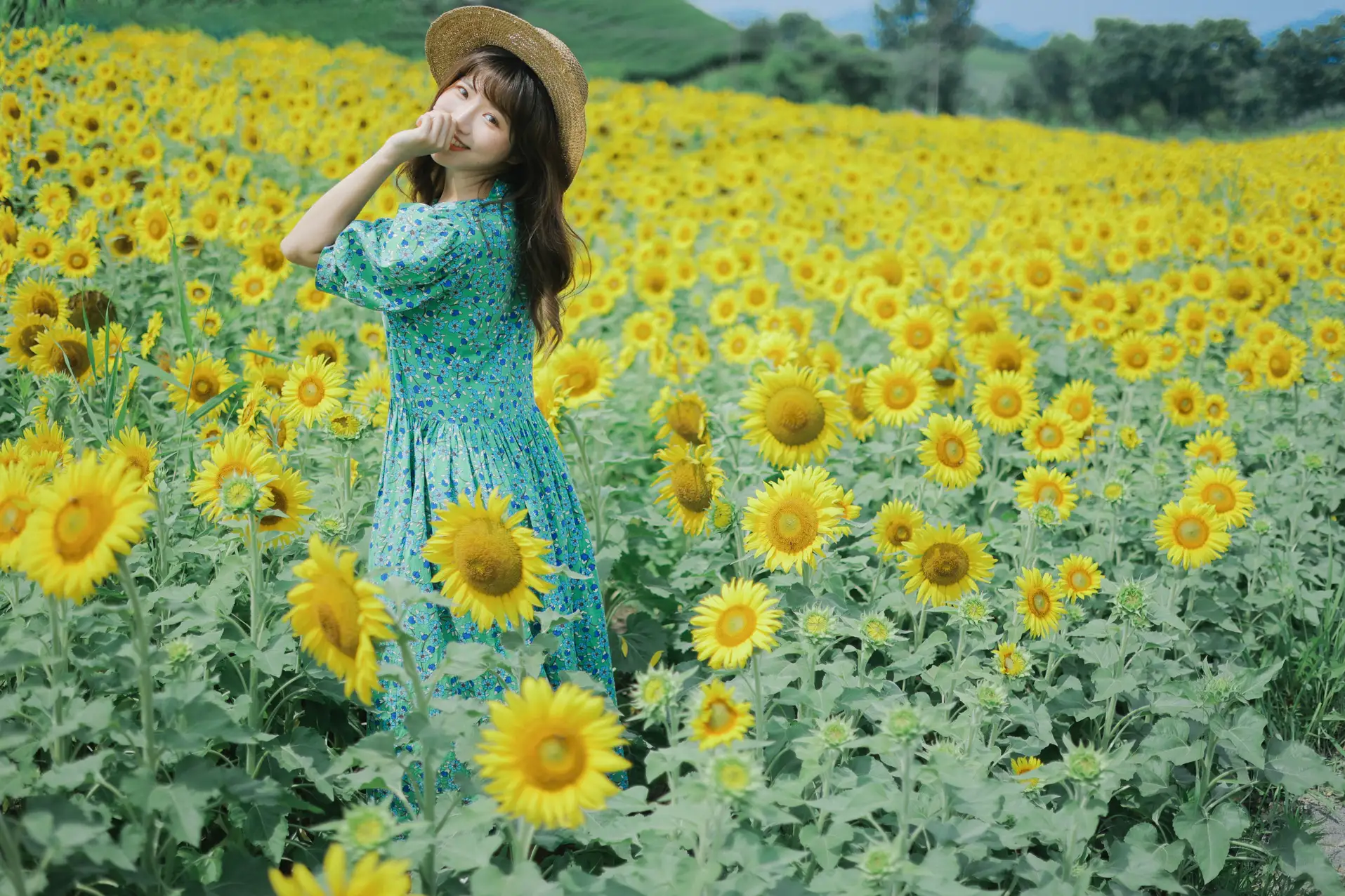 [艺图语] 2022.07.12 Vol.1458 – 向日葵的夏日 蓝胖子-#[33P]-3