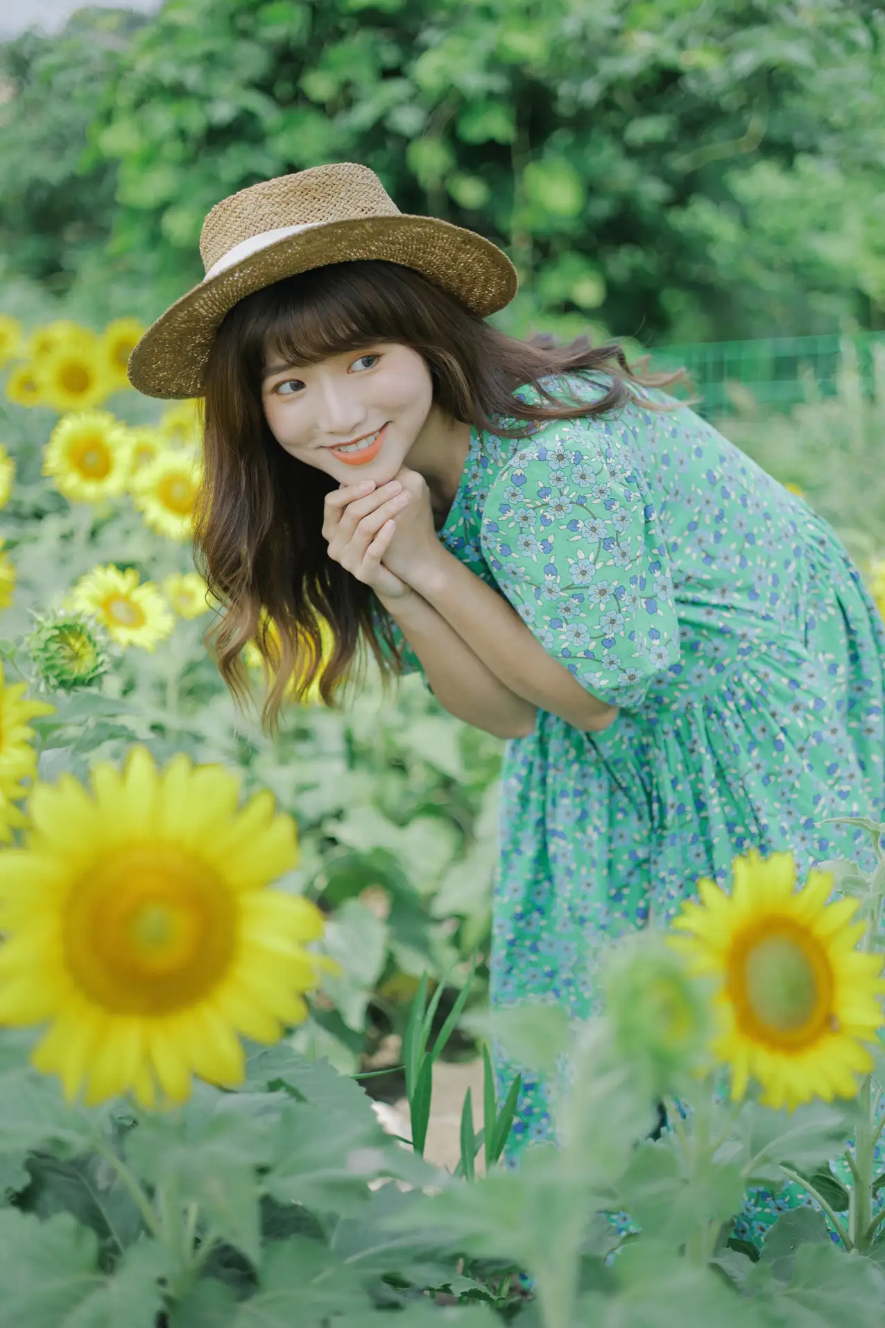 [艺图语] 2022.07.12 Vol.1458 – 向日葵的夏日 蓝胖子-#[33P]-6