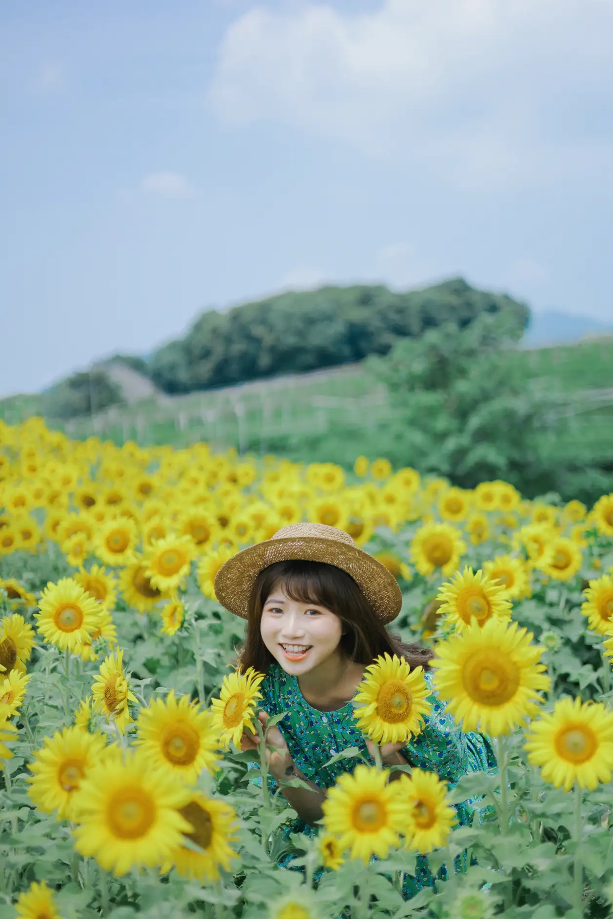 [艺图语] 2022.07.12 Vol.1458 – 向日葵的夏日 蓝胖子-#[33P]-8