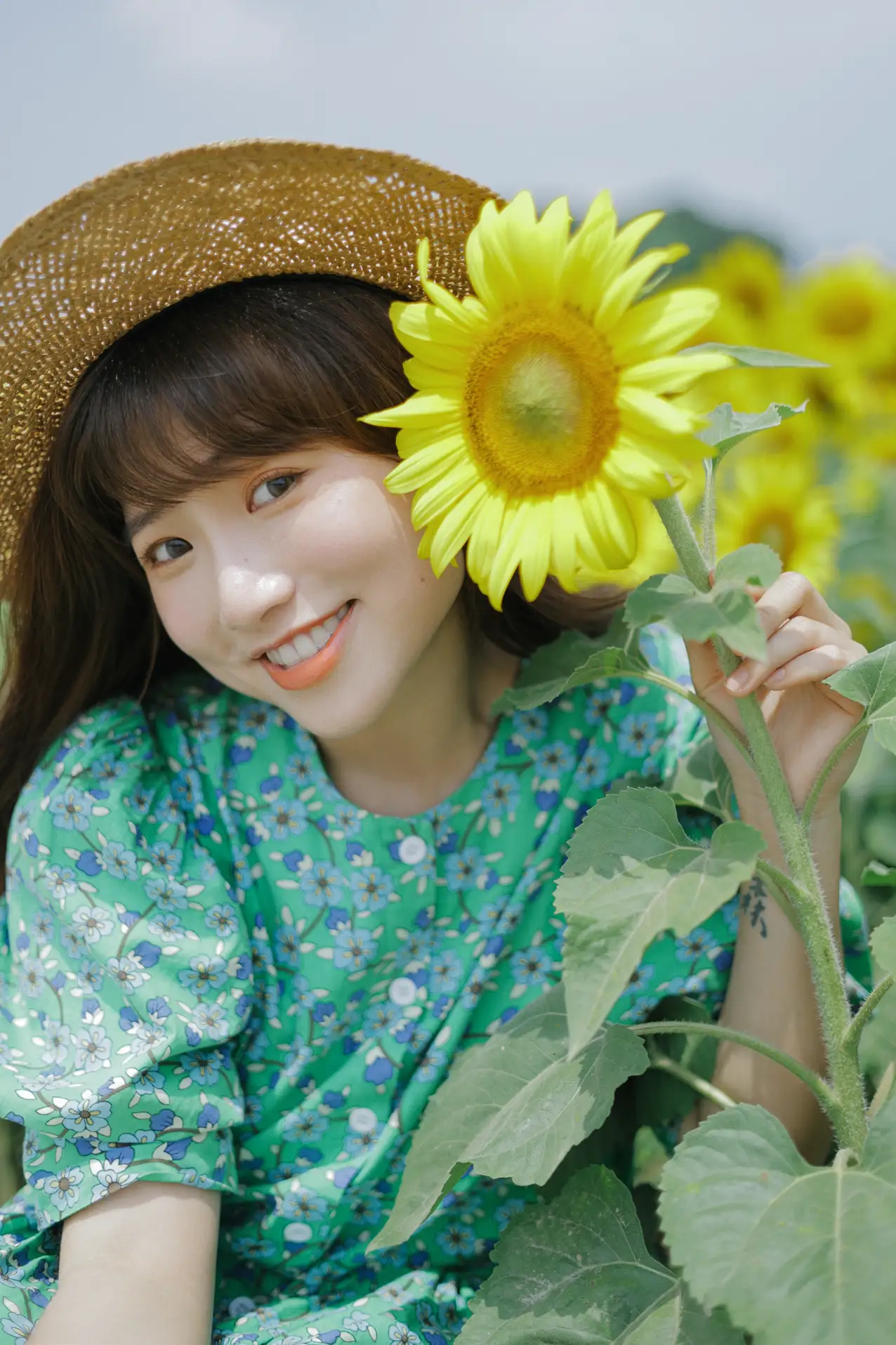 [艺图语] 2022.07.12 Vol.1458 – 向日葵的夏日 蓝胖子-#[33P]-9