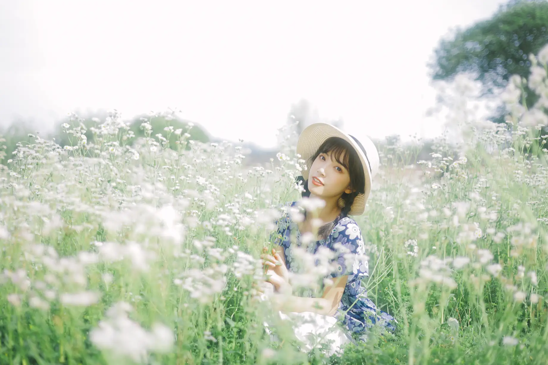 [艺图语] 2022.07.06 Vol.1393 – 初夏的花海 一只阿梦崽#[35P]-4