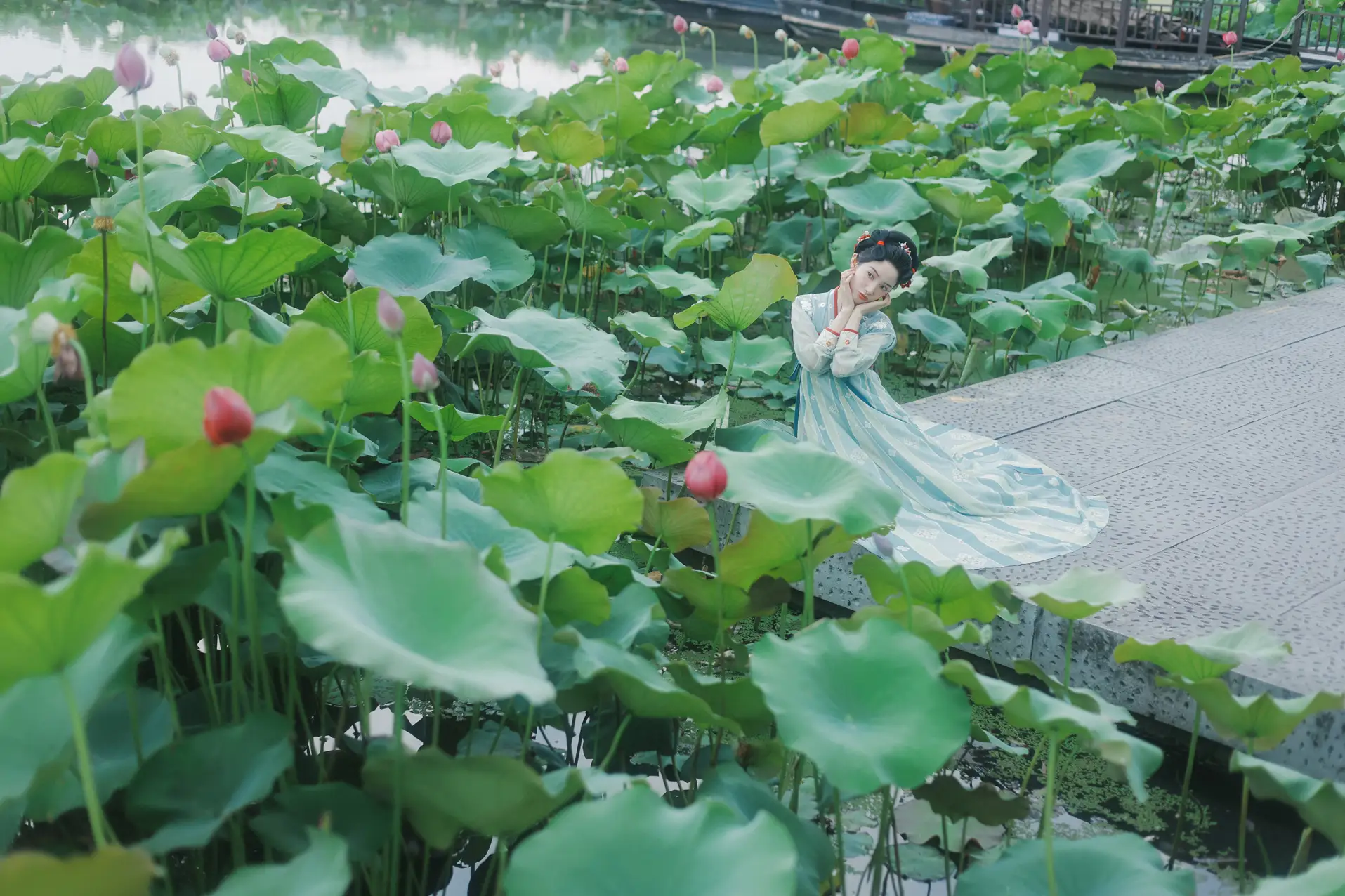 [艺图语] 2022.07.14 Vol.1477 – 夏荷 一只阿梦崽#[39P]-3