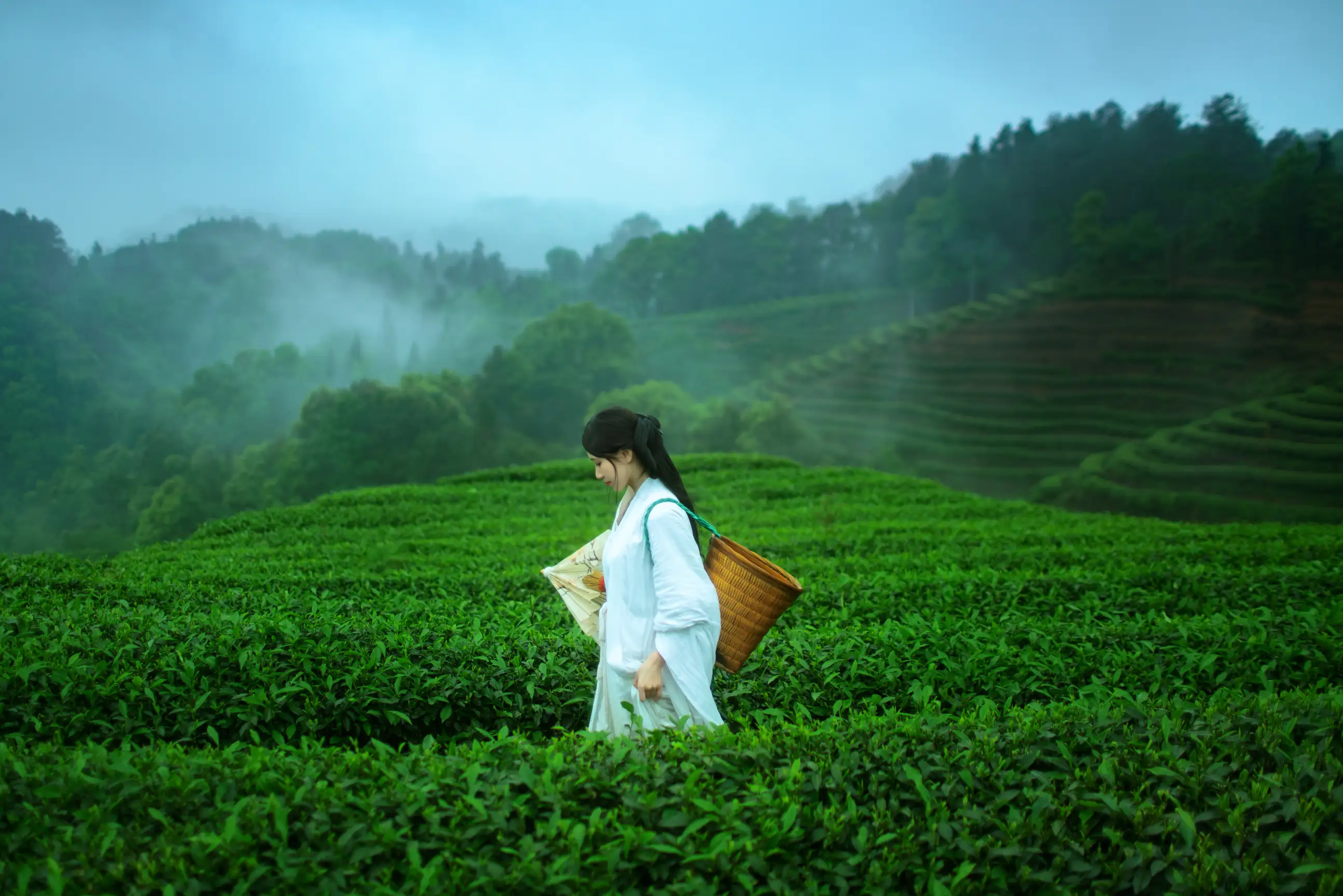 [艺图语] 2021.12.24 Vol.525 – 空山灵雨 初茶#[27P]-7