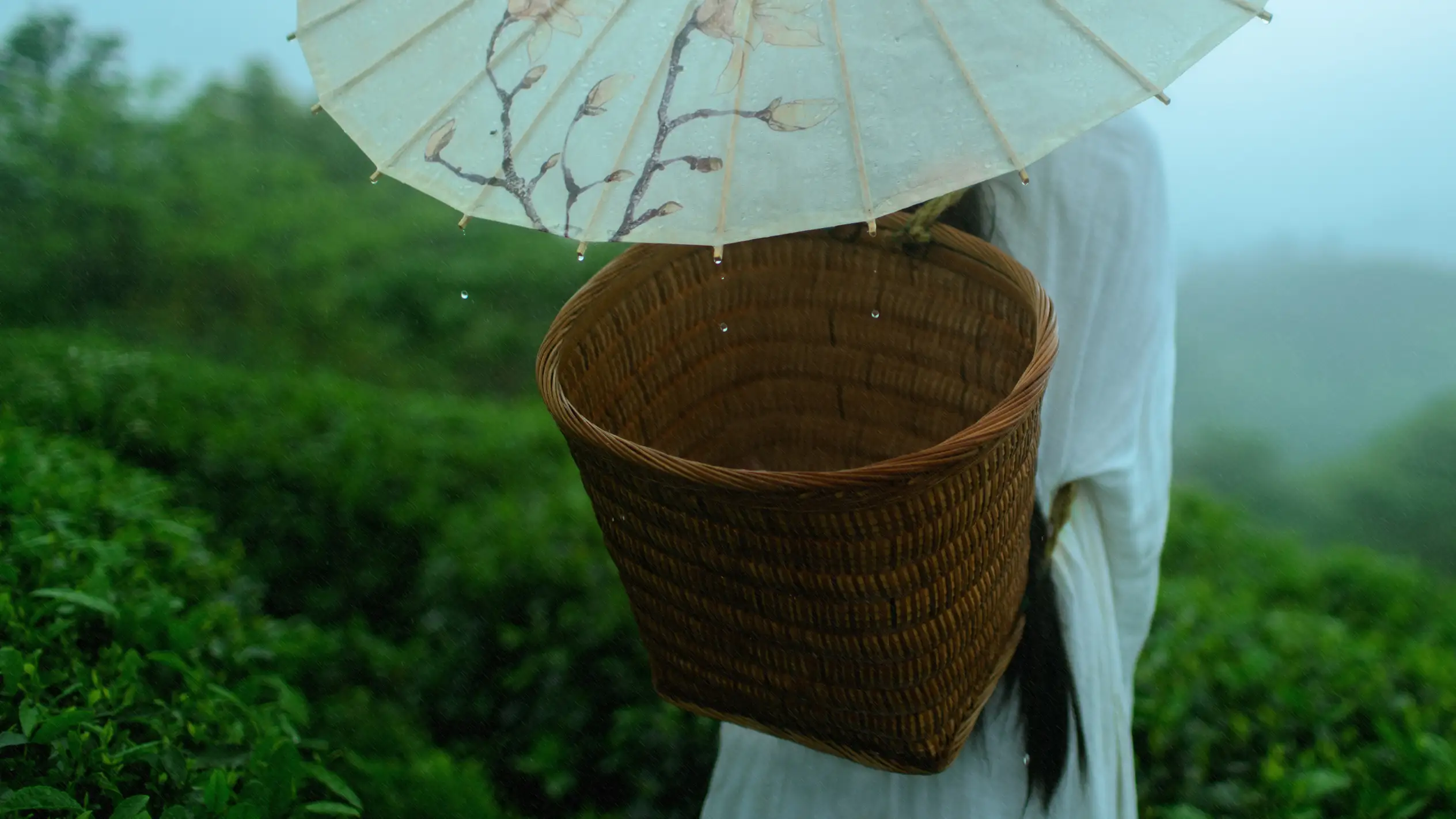 [艺图语] 2021.12.24 Vol.525 – 空山灵雨 初茶#[27P]-6