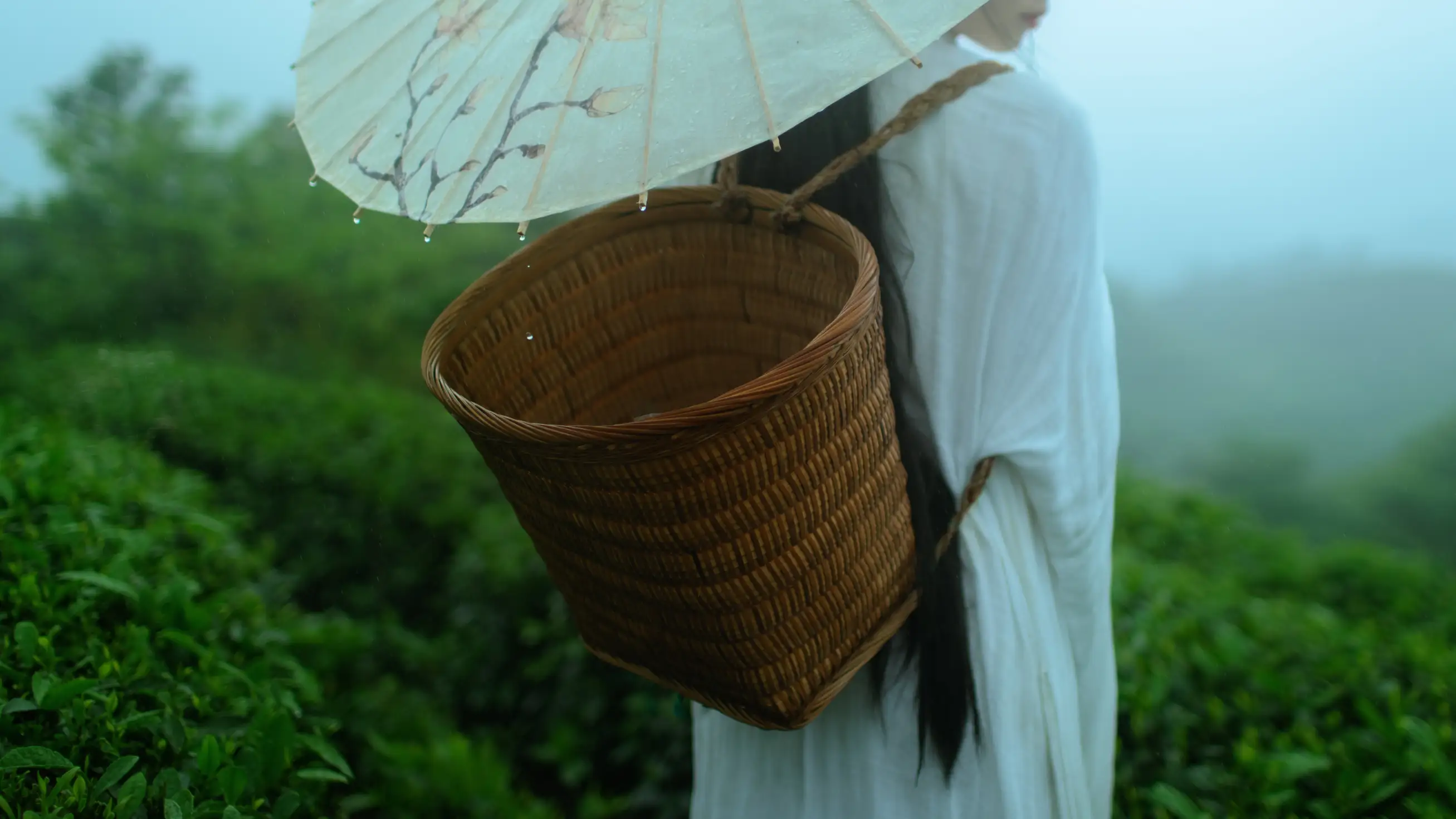 [艺图语] 2021.12.24 Vol.525 – 空山灵雨 初茶#[27P]-7
