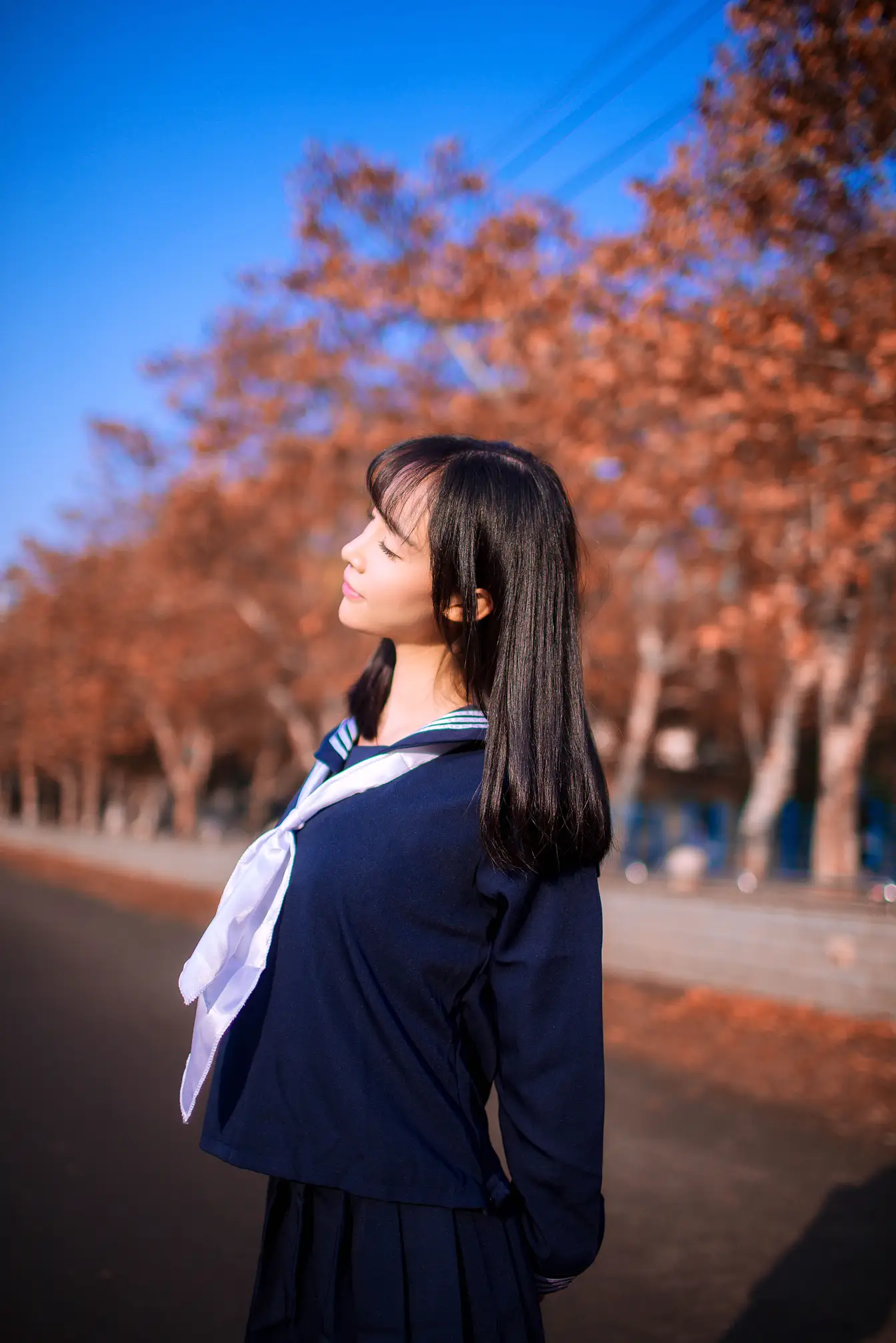 [艺图语] 2022.02.19 Vol.825 – 秋叶的记忆 一条小丸子#[24P]-8