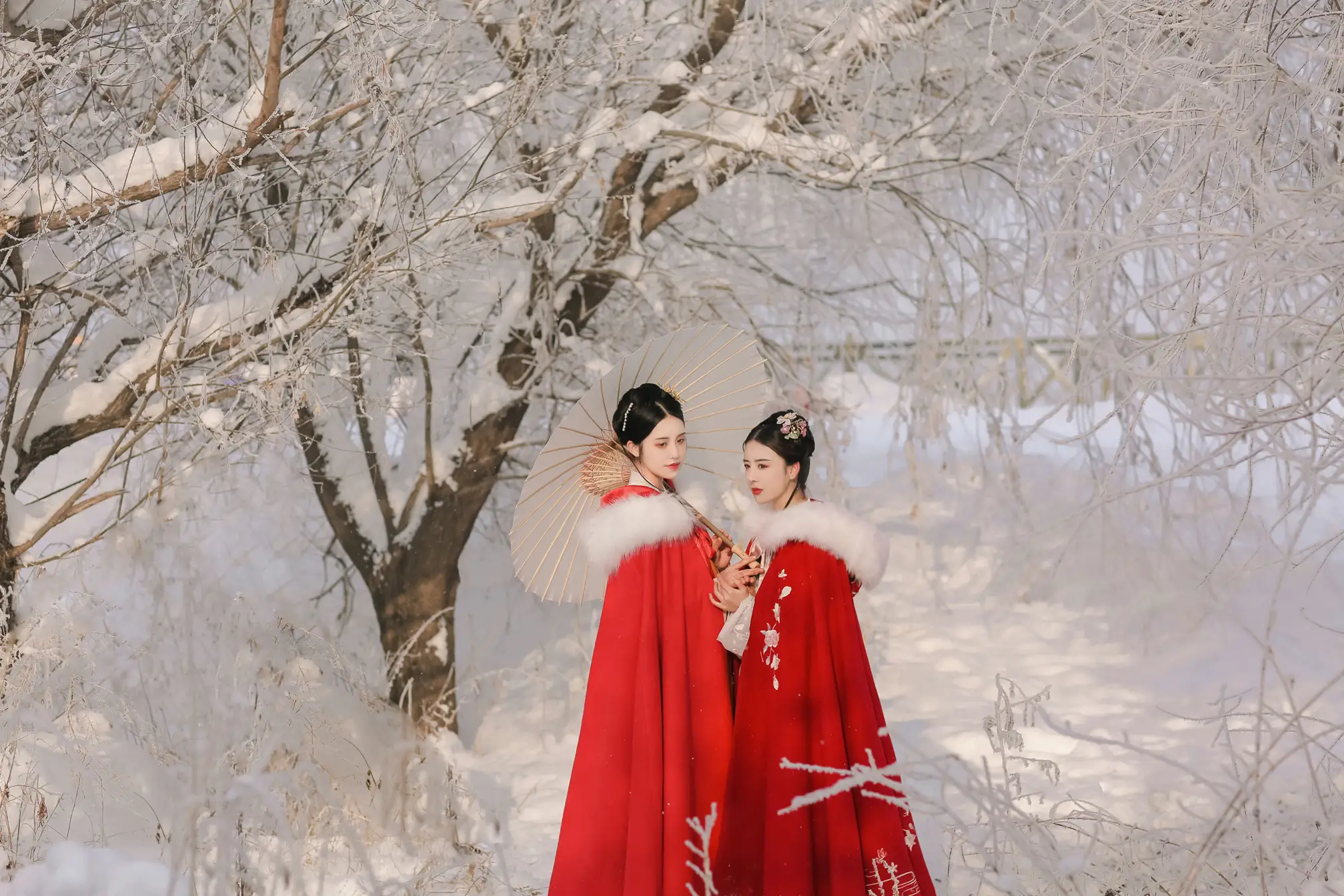 [艺图语] 2022.07.08 Vol.1419 – 异乡雪 沐槿cutie#[32P]-6