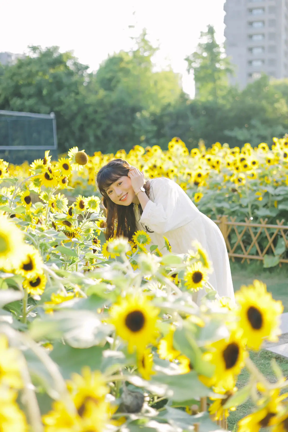[艺图语] 2022.08.29 Vol.1822 – 阳光下的花和你 蓝胖子-#[25P]-4