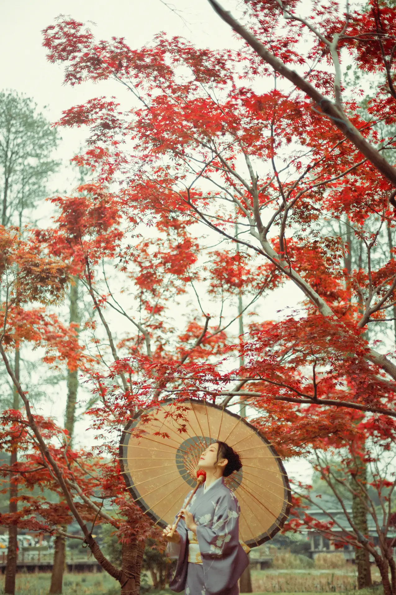 [艺图语] 2021.09.02 Vol.219 – 红叶深处 没烦恼#[29P]-2