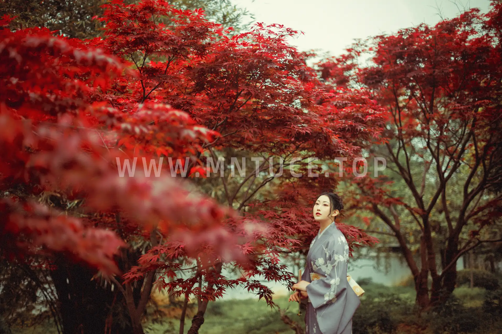 [艺图语] 2021.09.02 Vol.219 – 红叶深处 没烦恼#[29P]-8