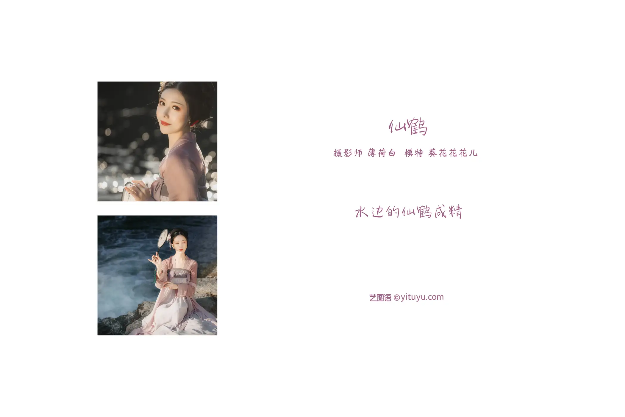 [艺图语] 2021.10.26 Vol.393 – 仙鹤 葵花花花儿#[20P]-2