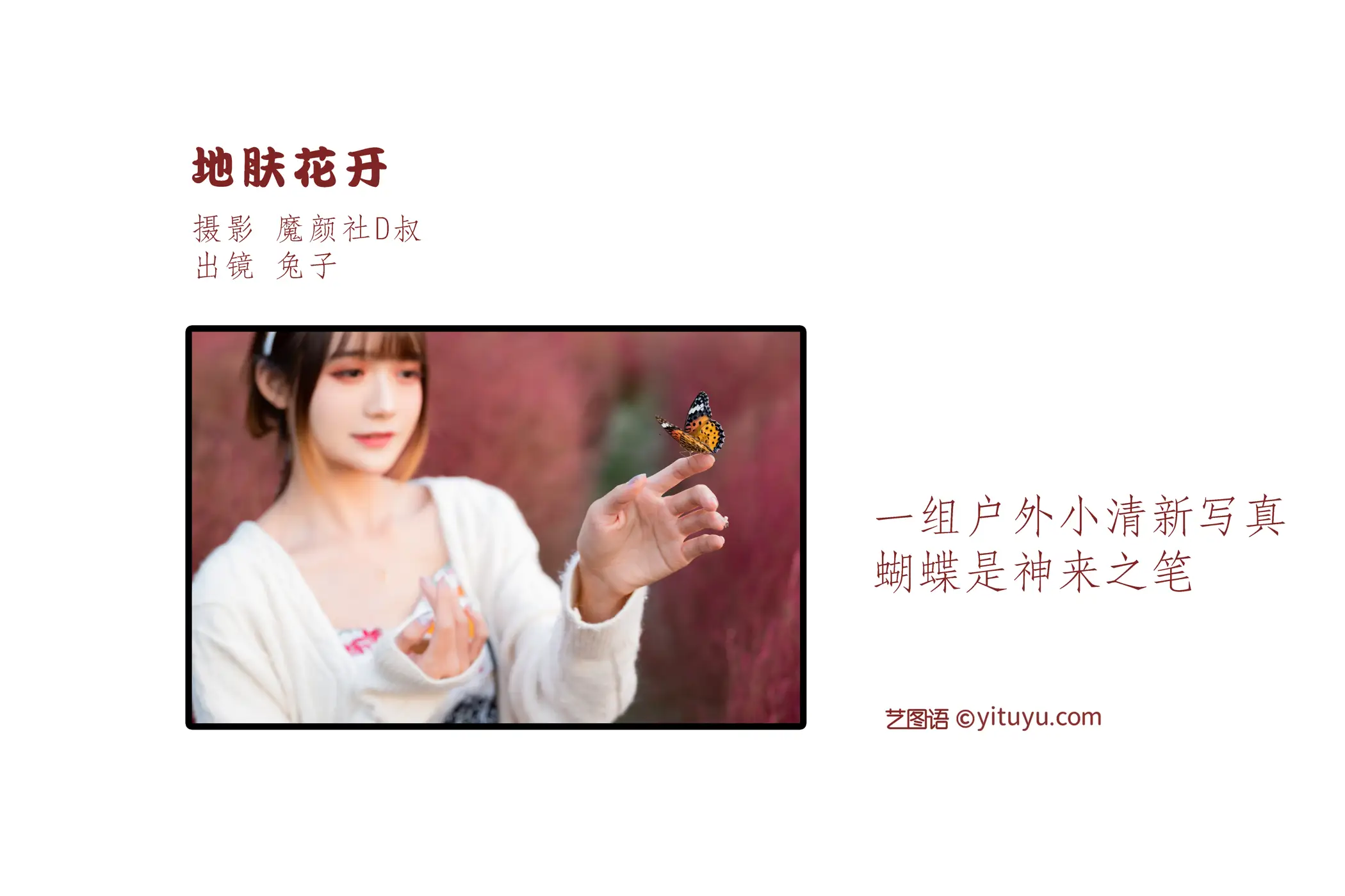 [艺图语] 2022.06.27 Vol.1301 – 地肤花开 兔子Zzz不吃胡萝卜#[35P]-2
