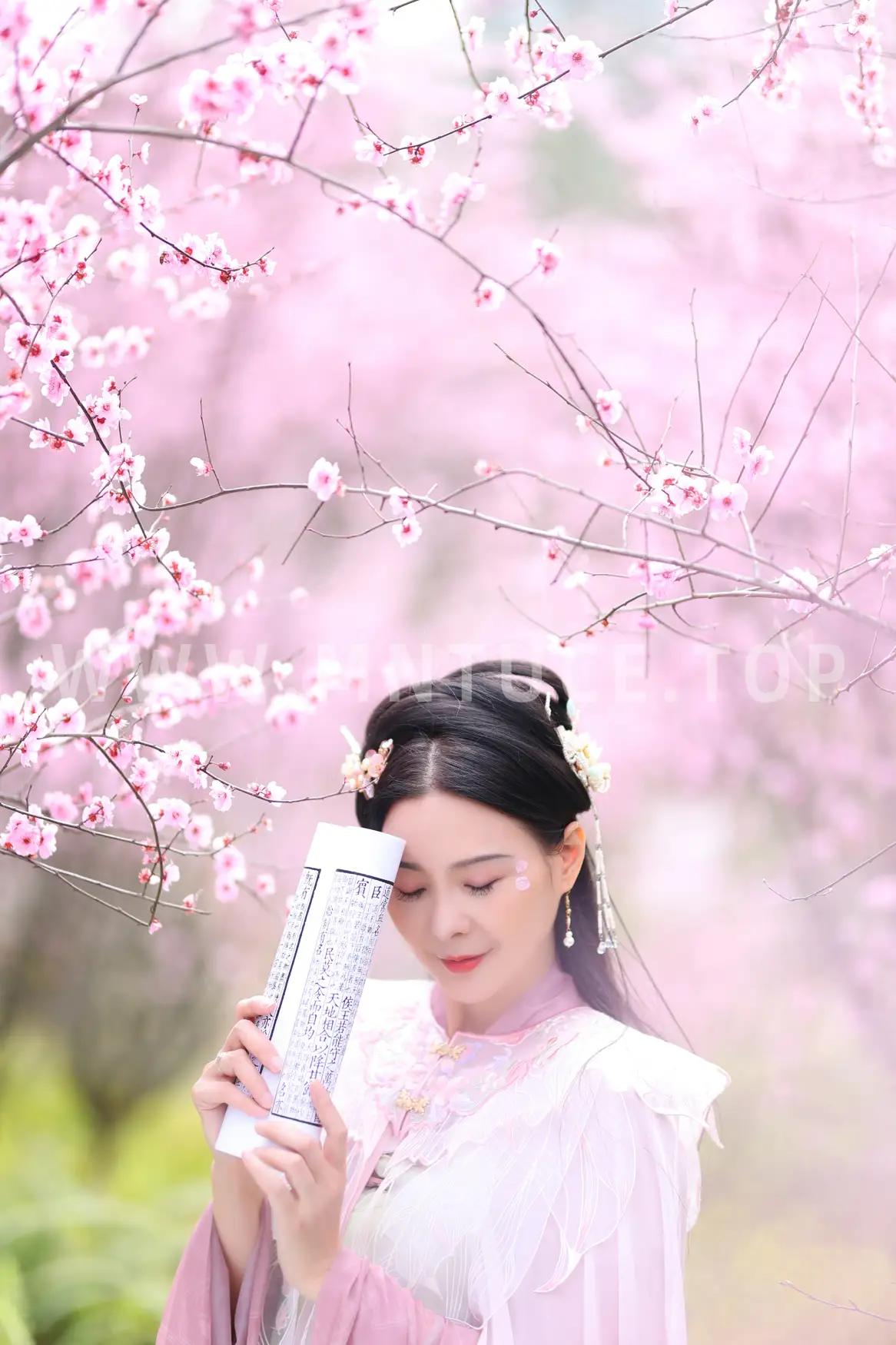 [艺图语] 2022.05.31 Vol.1043 – 暖春樱色 莲#[38P]-8