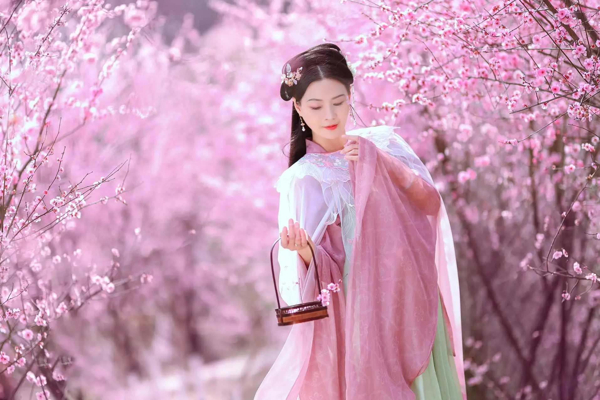 [艺图语] 2022.05.31 Vol.1043 – 暖春樱色 莲#[38P]-6