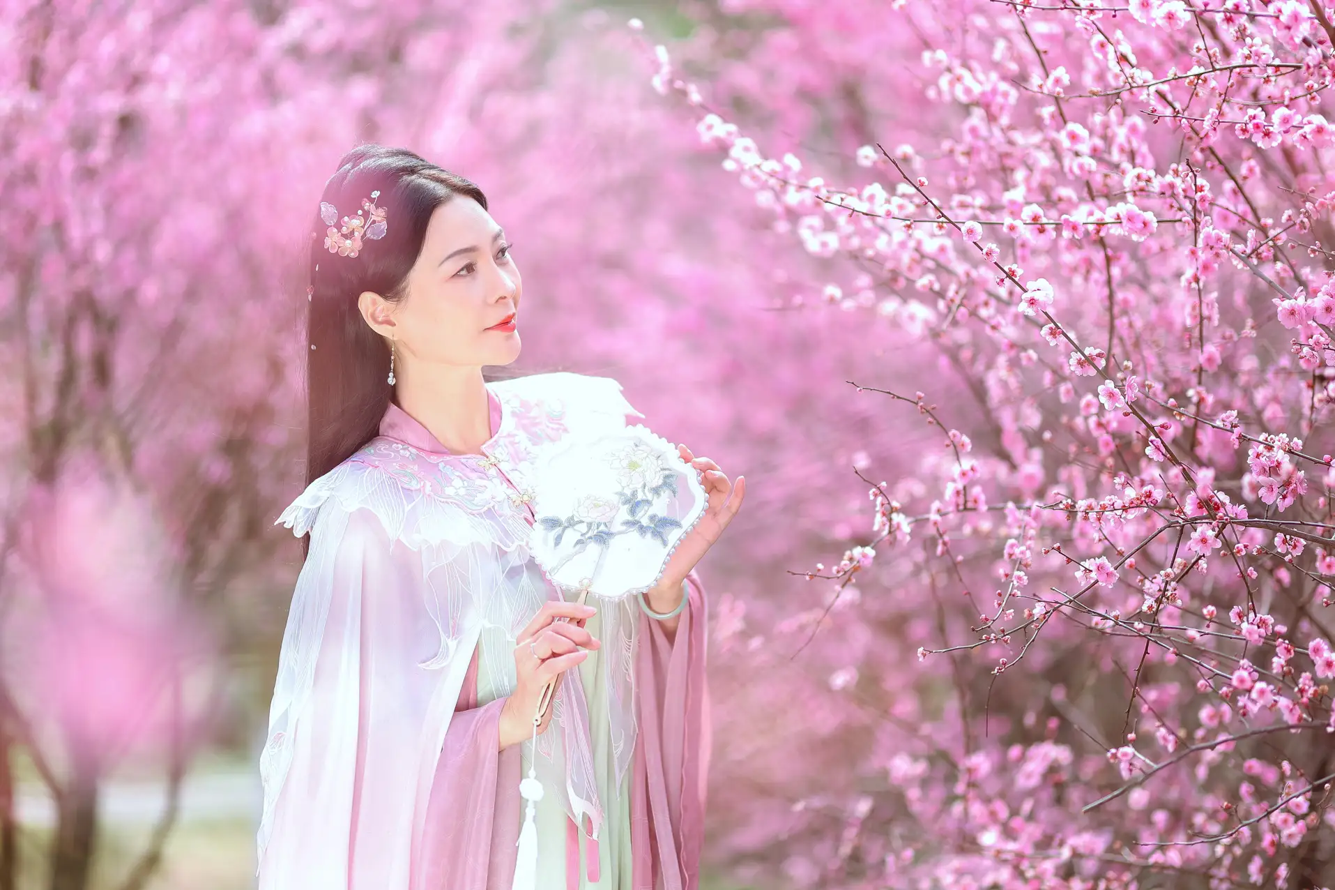 [艺图语] 2022.05.31 Vol.1043 – 暖春樱色 莲#[38P]-5