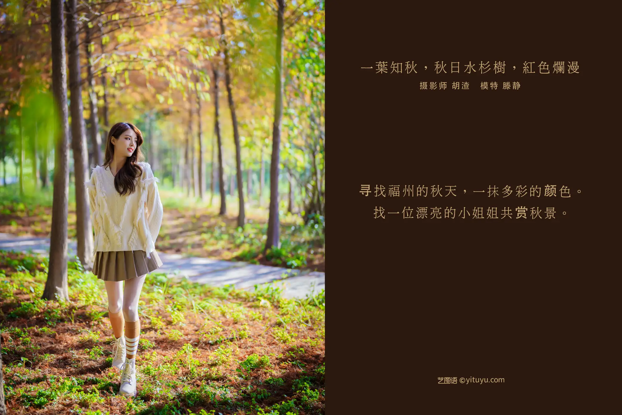 [艺图语] 2022.02.03 Vol.745 – 一叶知秋，秋日水杉树，红色烂漫 滕静#[50P]-2