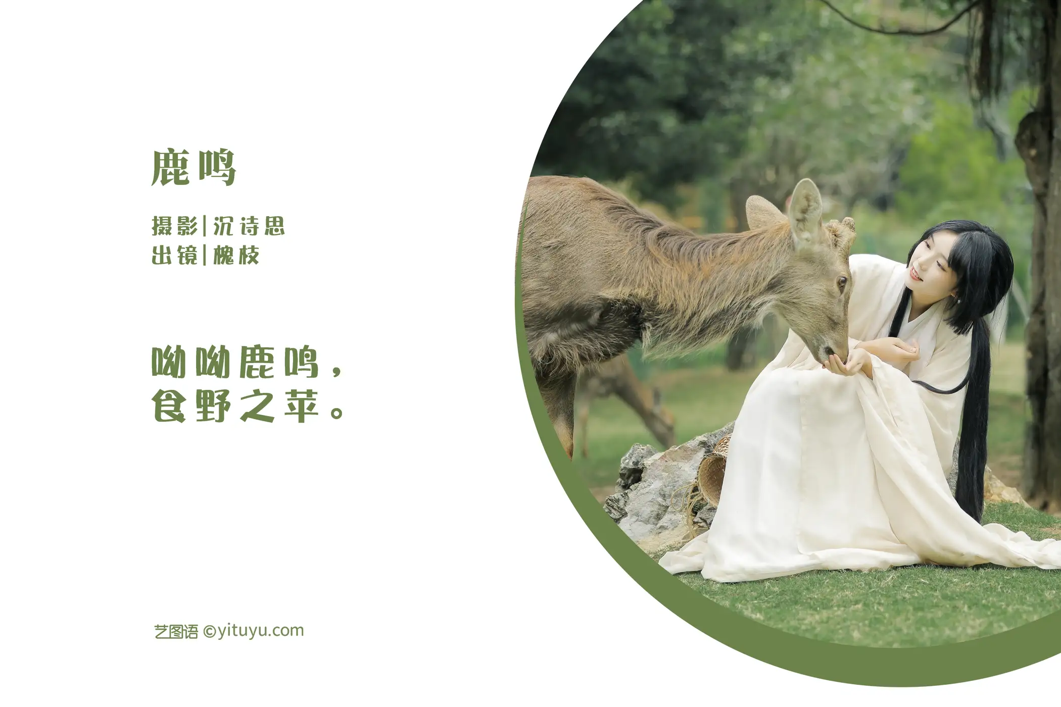 [艺图语] 2022.05.28 Vol.1013 – 鹿鸣 槐枝-#[27P]-2