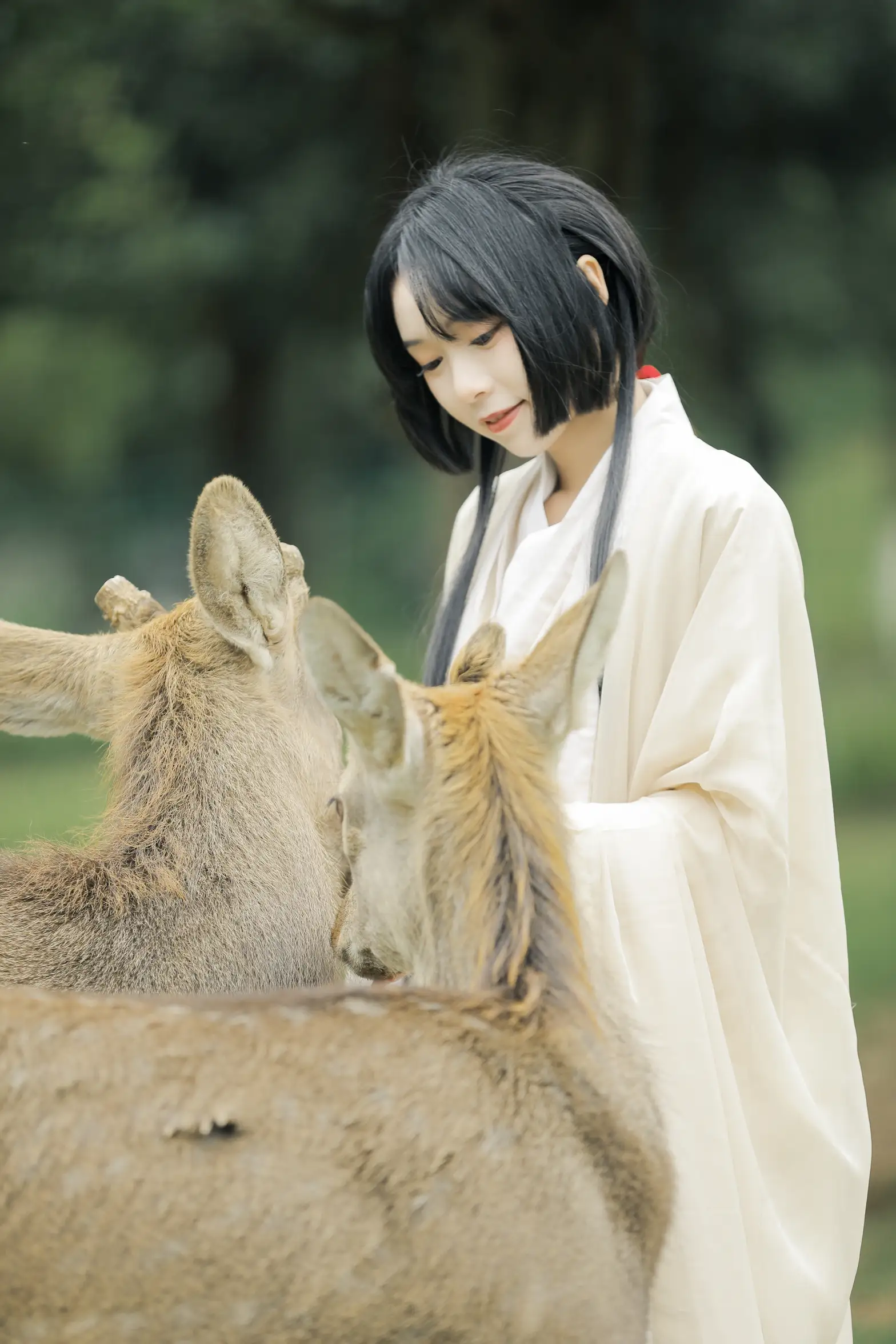 [艺图语] 2022.05.28 Vol.1013 – 鹿鸣 槐枝-#[27P]-10