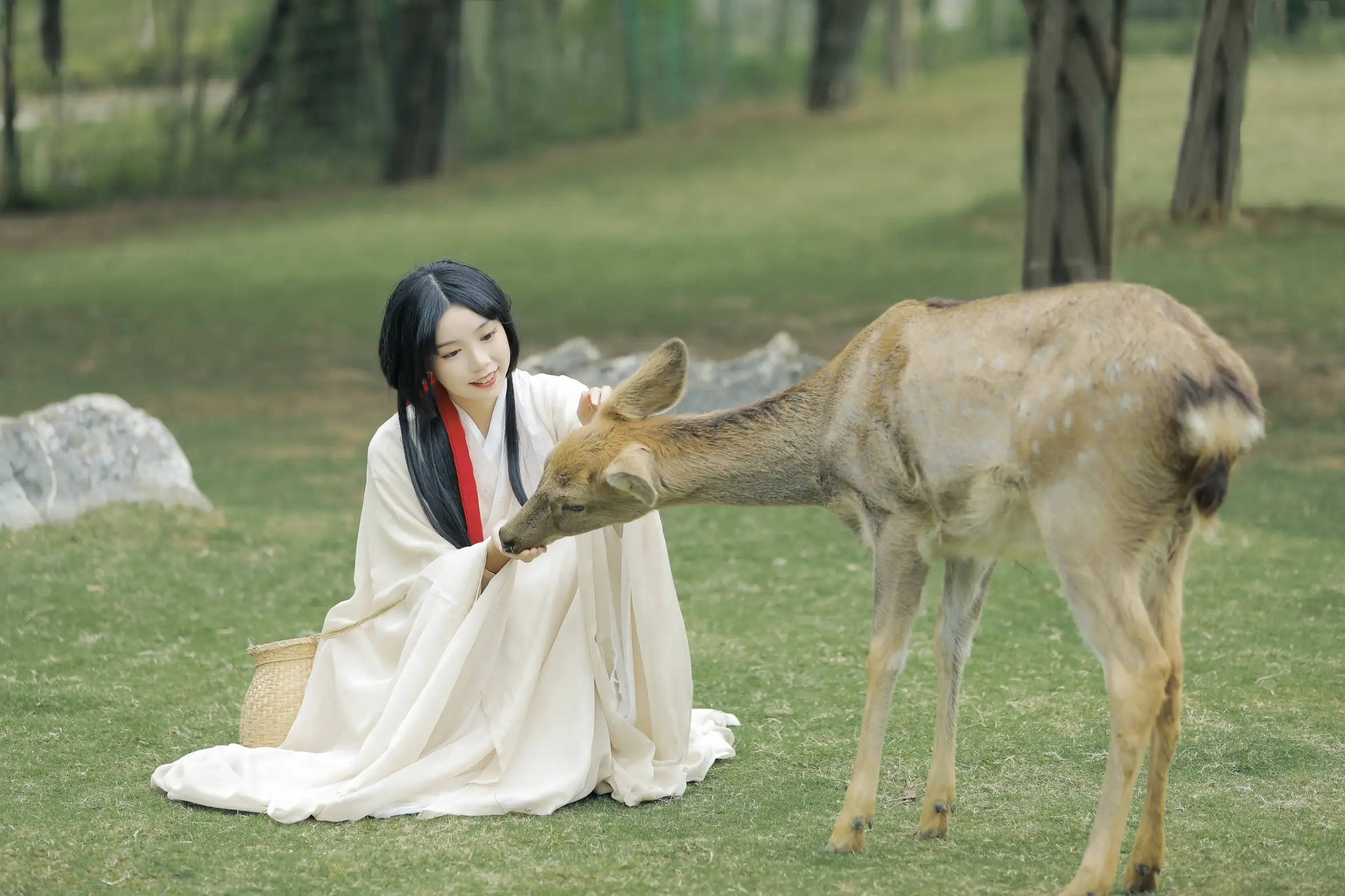 [艺图语] 2022.05.28 Vol.1013 – 鹿鸣 槐枝-#[27P]-1