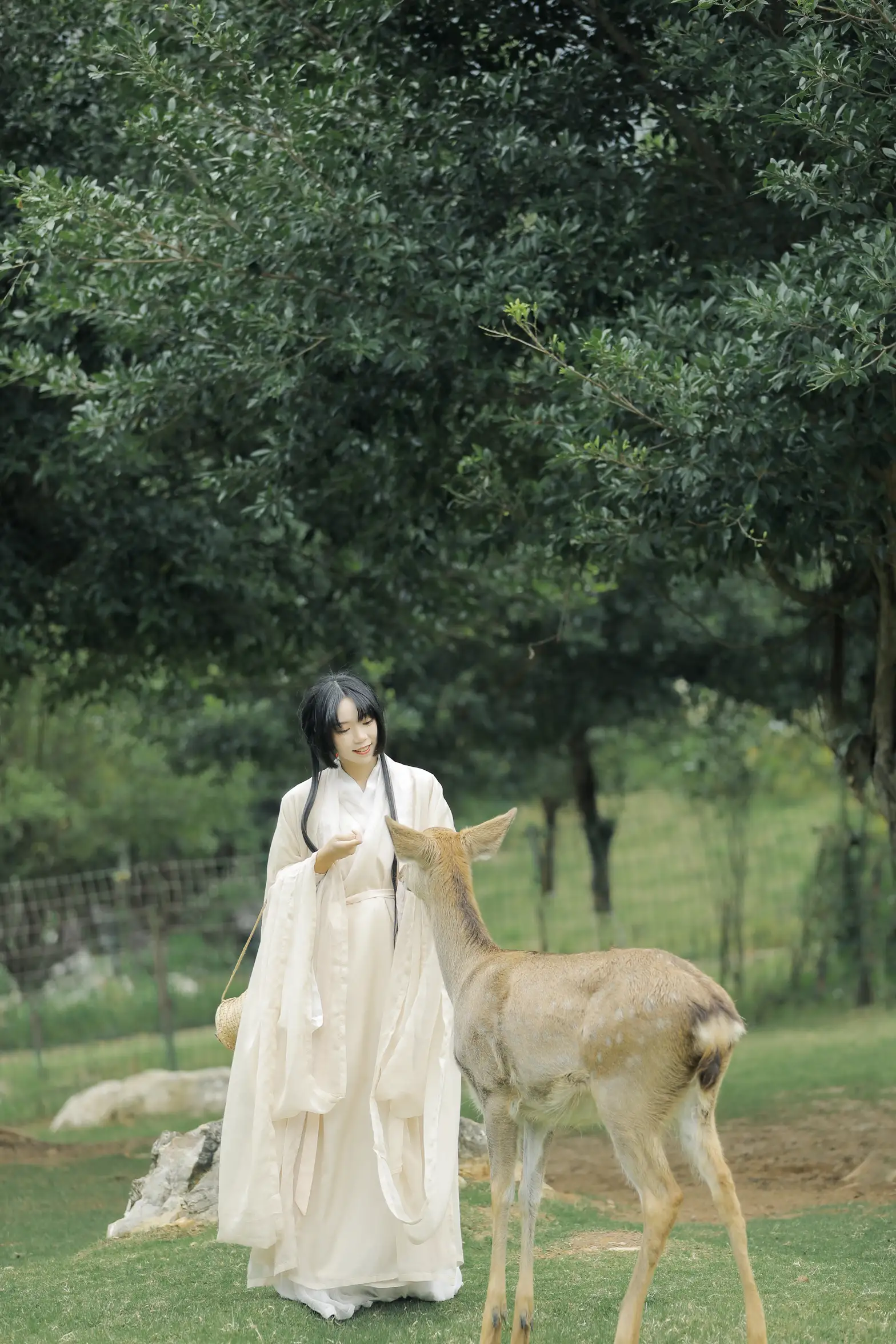 [艺图语] 2022.05.28 Vol.1013 – 鹿鸣 槐枝-#[27P]-3