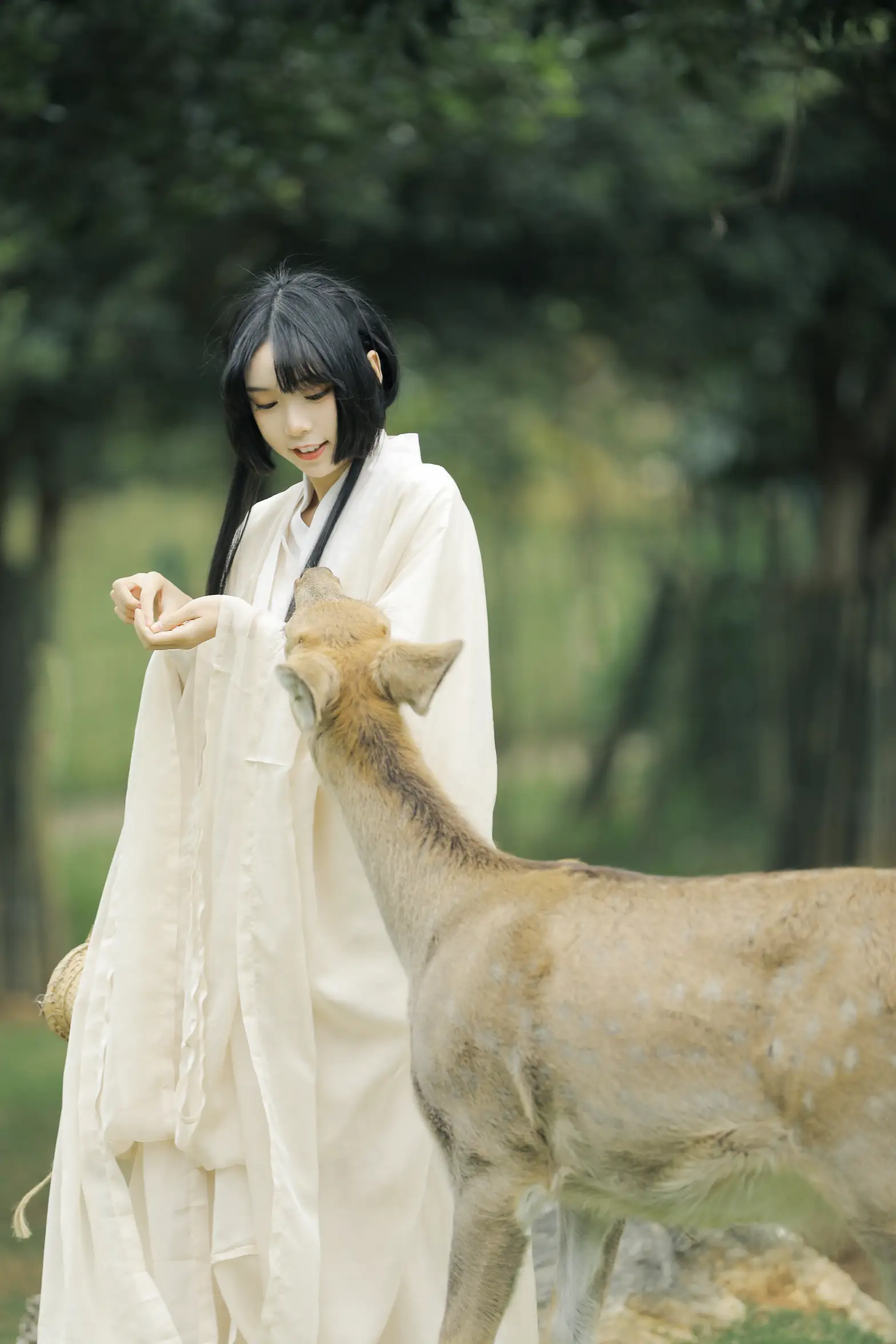 [艺图语] 2022.05.28 Vol.1013 – 鹿鸣 槐枝-#[27P]-5