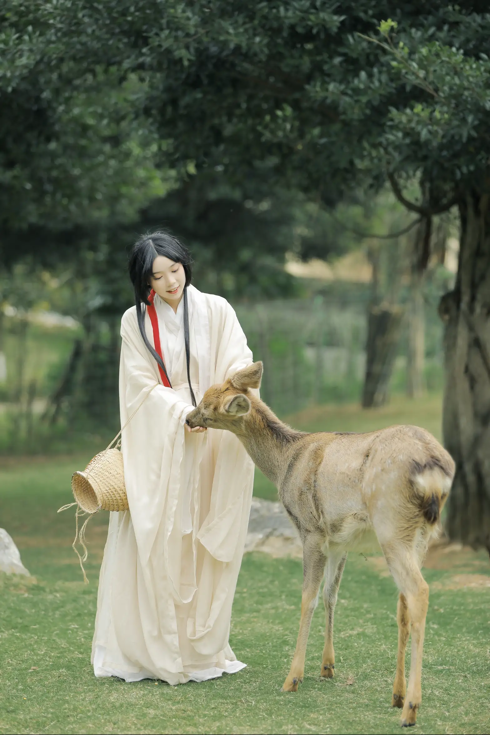 [艺图语] 2022.05.28 Vol.1013 – 鹿鸣 槐枝-#[27P]-3