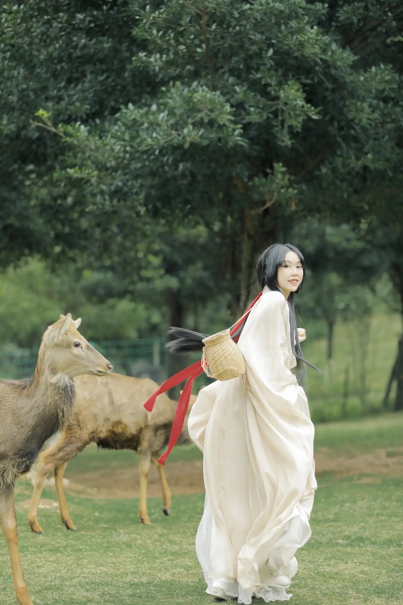 [艺图语] 2022.05.28 Vol.1013 – 鹿鸣 槐枝-#[27P]-4