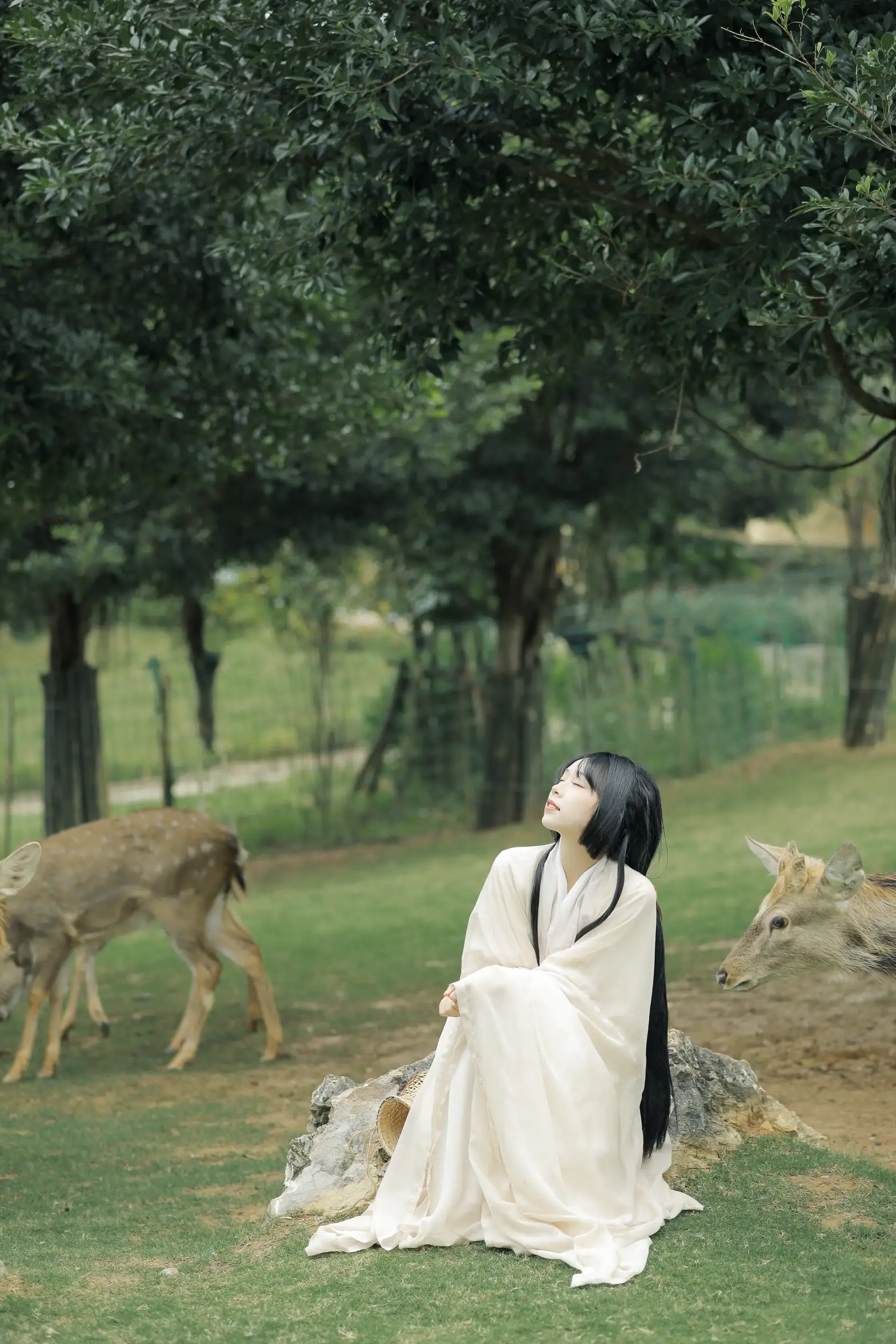 [艺图语] 2022.05.28 Vol.1013 – 鹿鸣 槐枝-#[27P]-5