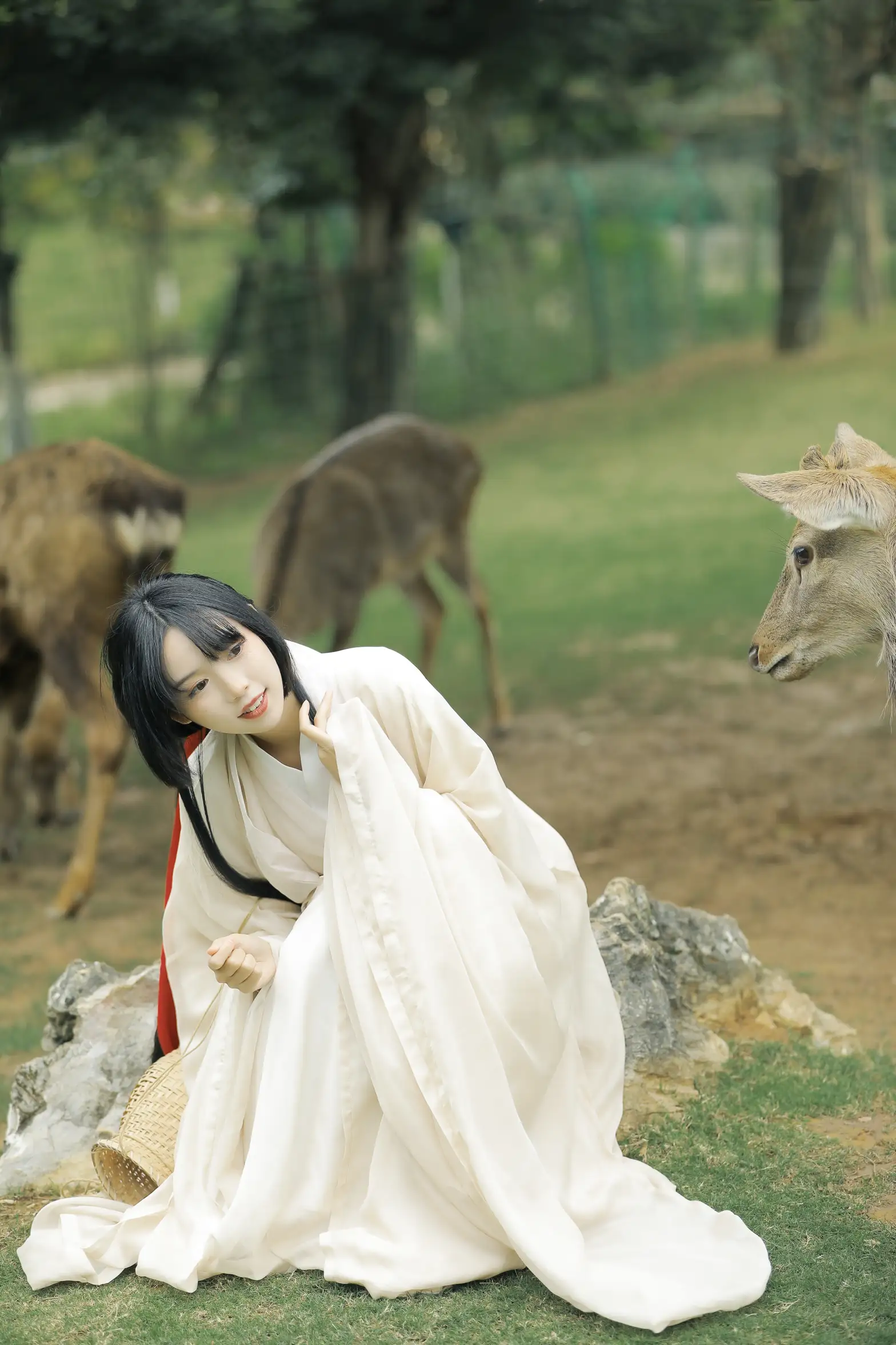 [艺图语] 2022.05.28 Vol.1013 – 鹿鸣 槐枝-#[27P]-9